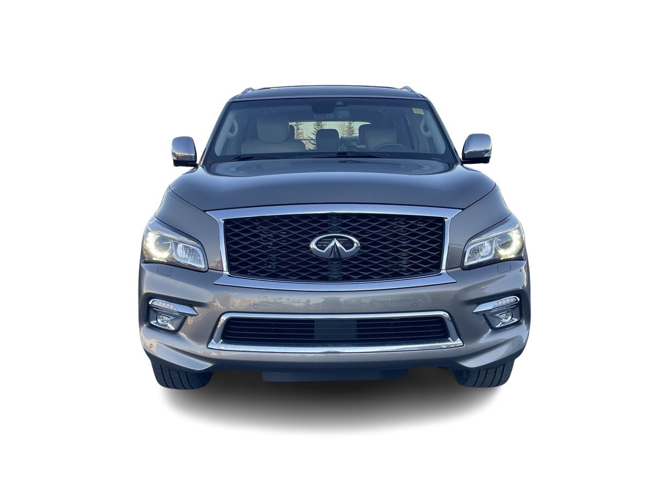2017 Infiniti QX80