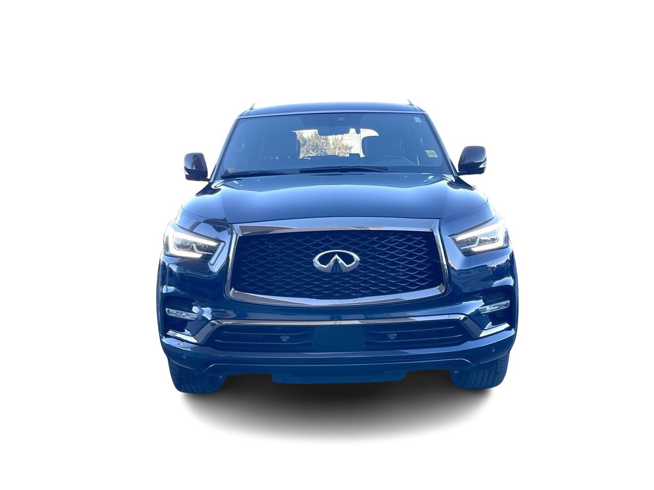 2023 Infiniti QX80