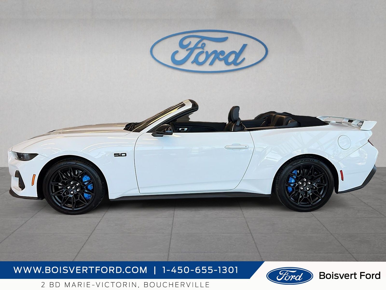 Photo 2024 Ford Mustang GT Premium #8