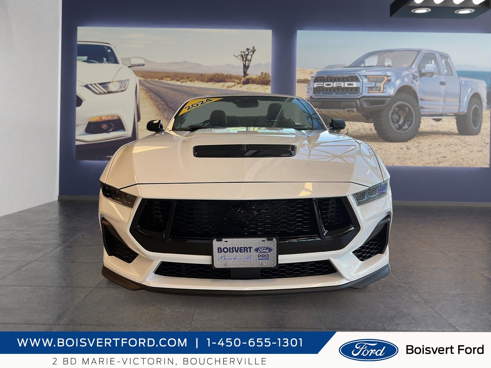 Photo 2024 Ford Mustang GT Premium #5