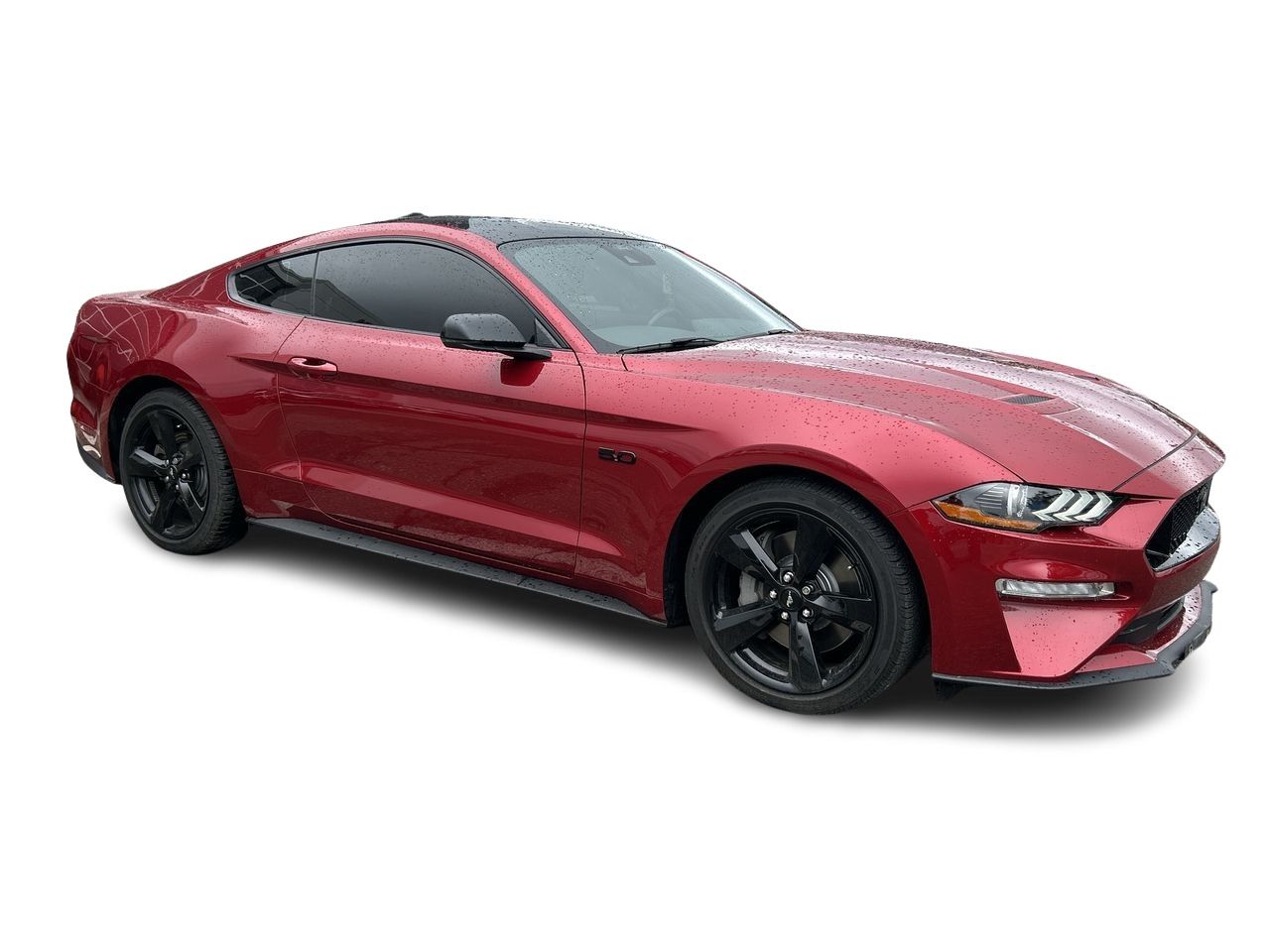 2022 Ford Mustang in Bolton, Ontario