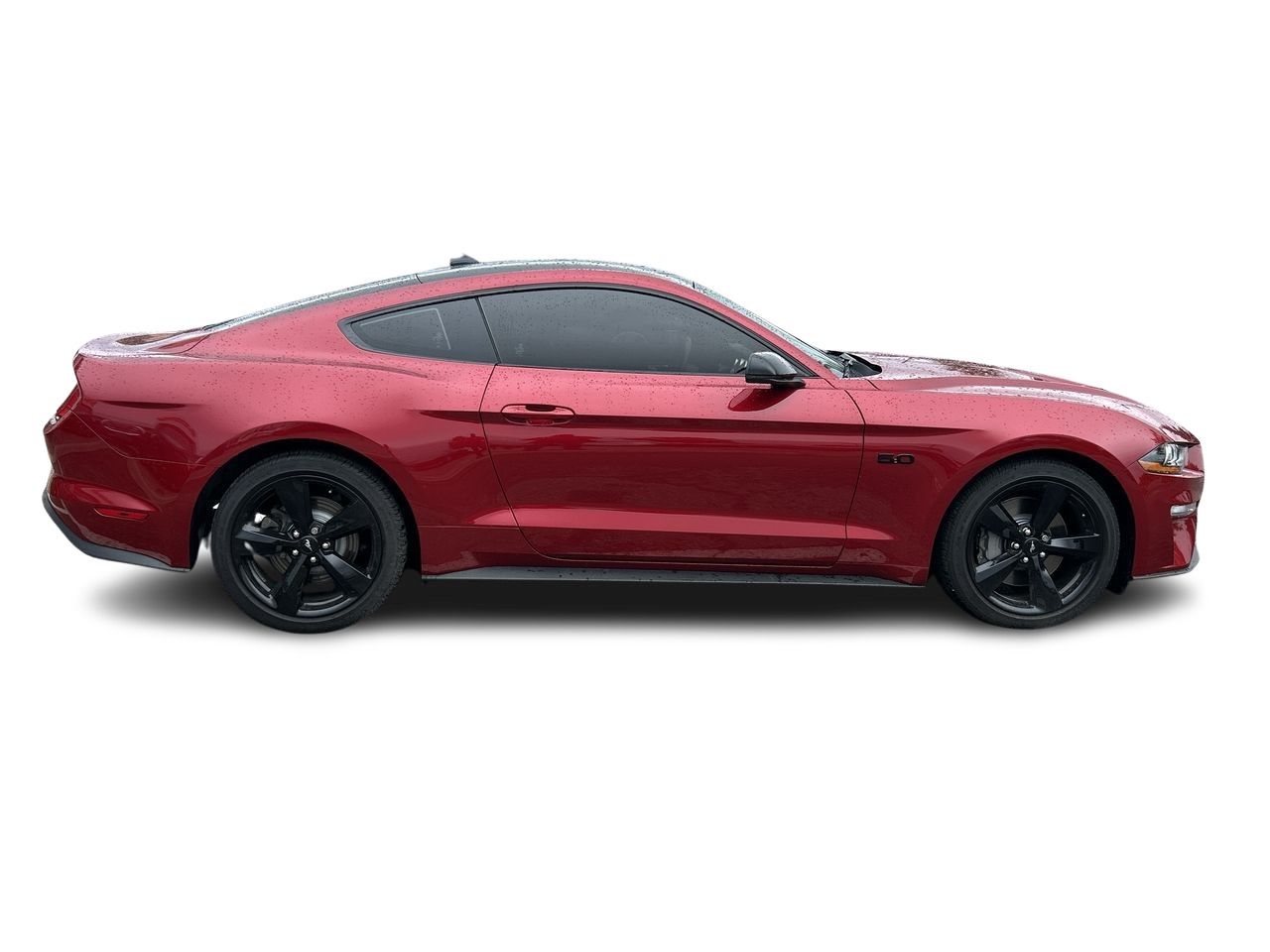 2022 Ford Mustang in Bolton, Ontario