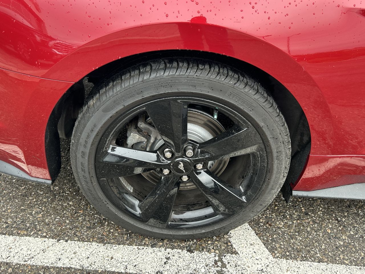 2022 Ford Mustang in Bolton, Ontario