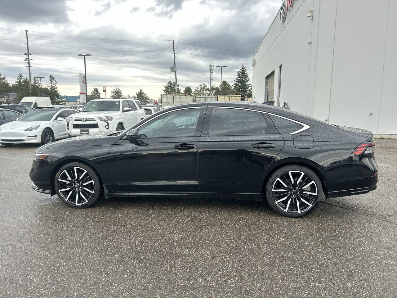 2024 Honda Accord in Bolton, Ontario
