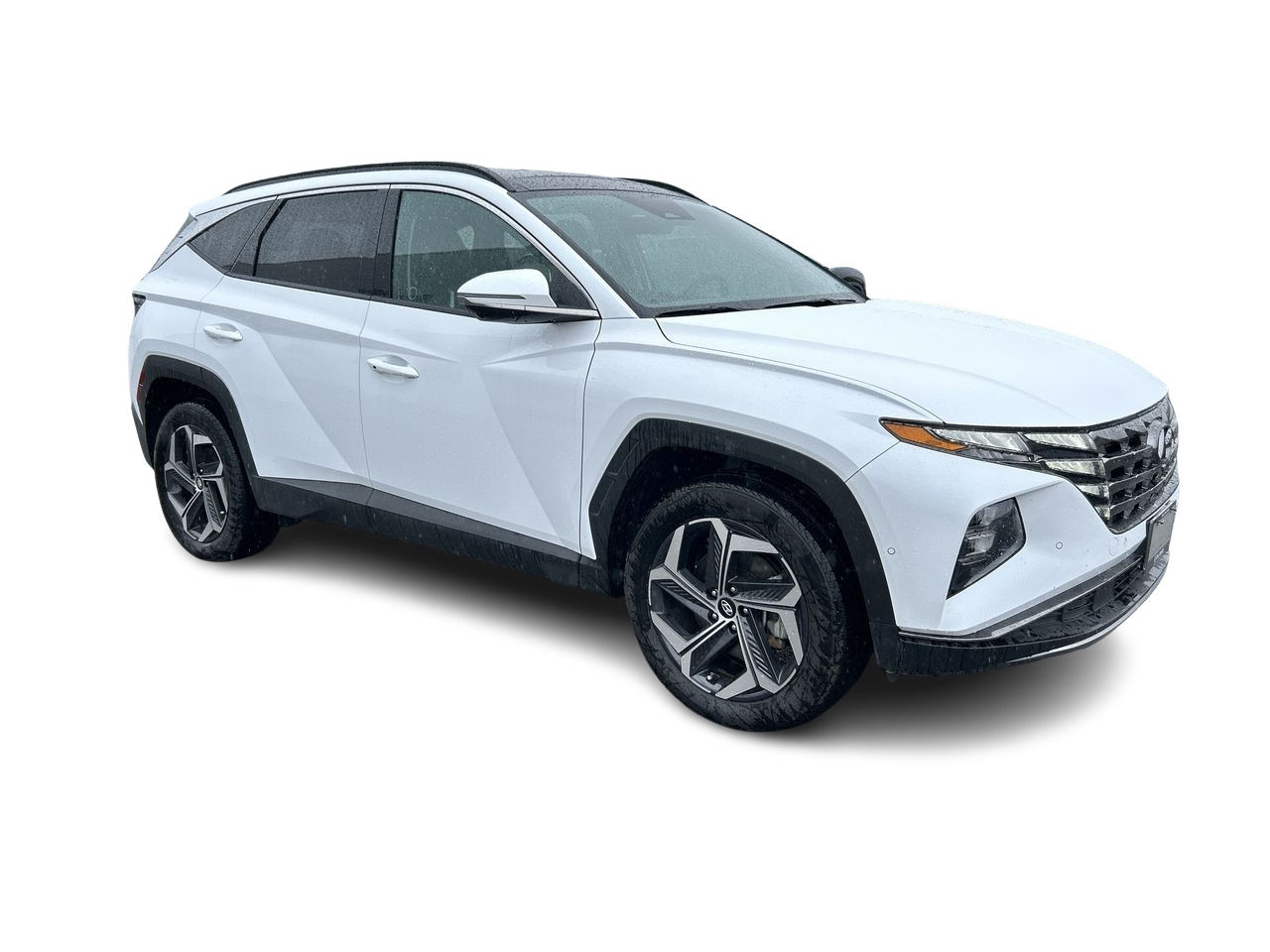 2024 Hyundai Tucson Hybrid in Bolton, Ontario