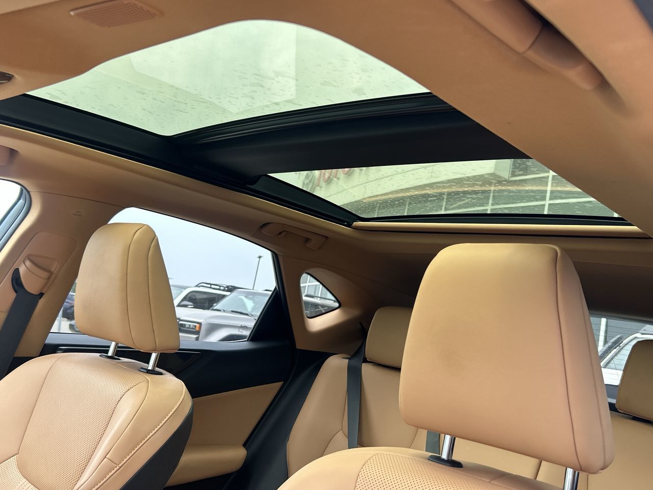 2022 Lexus NXH in Bolton, Ontario