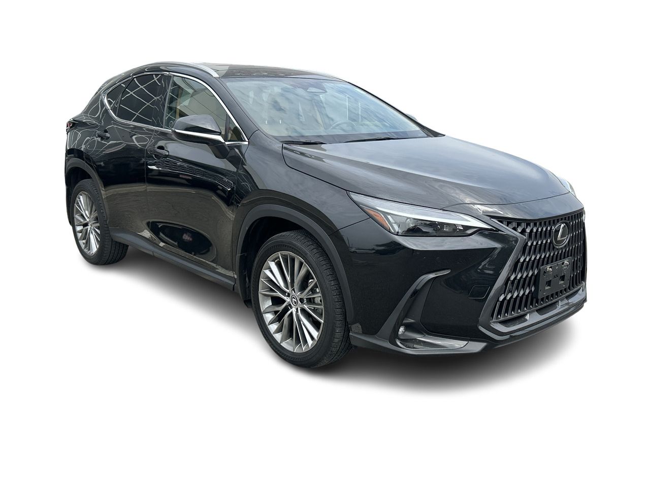2022 Lexus NXH in Bolton, Ontario