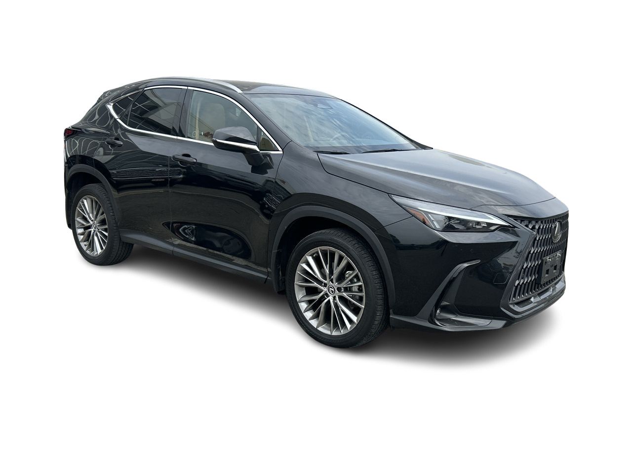 2022 Lexus NXH in Bolton, Ontario