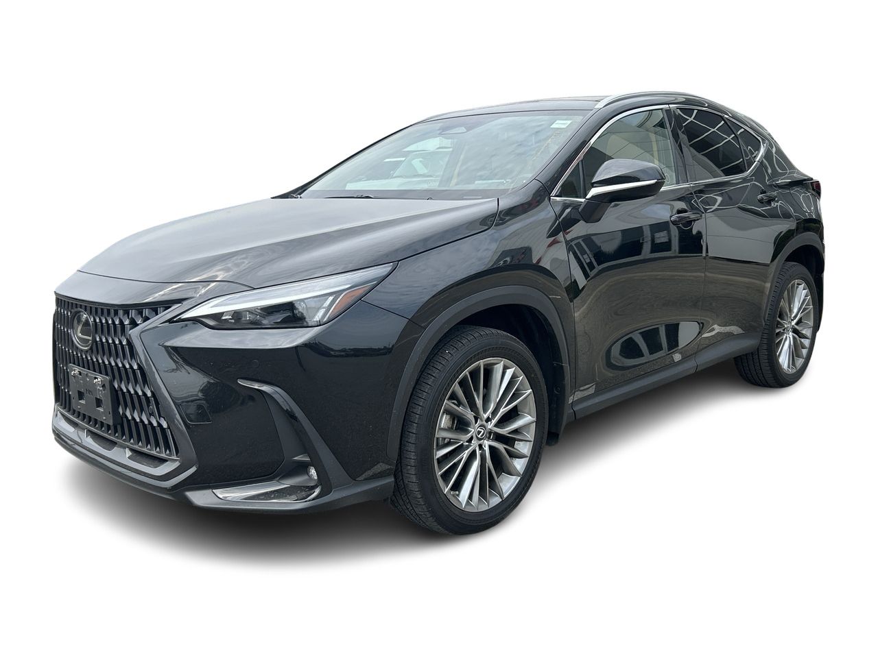 2022 Lexus NXH in Bolton, Ontario