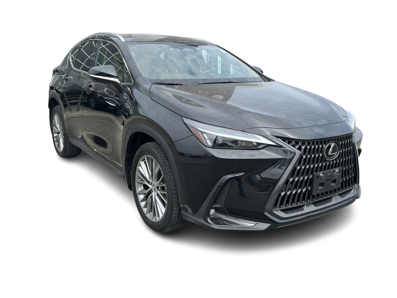 2022 Lexus NXH in Bolton, Ontario