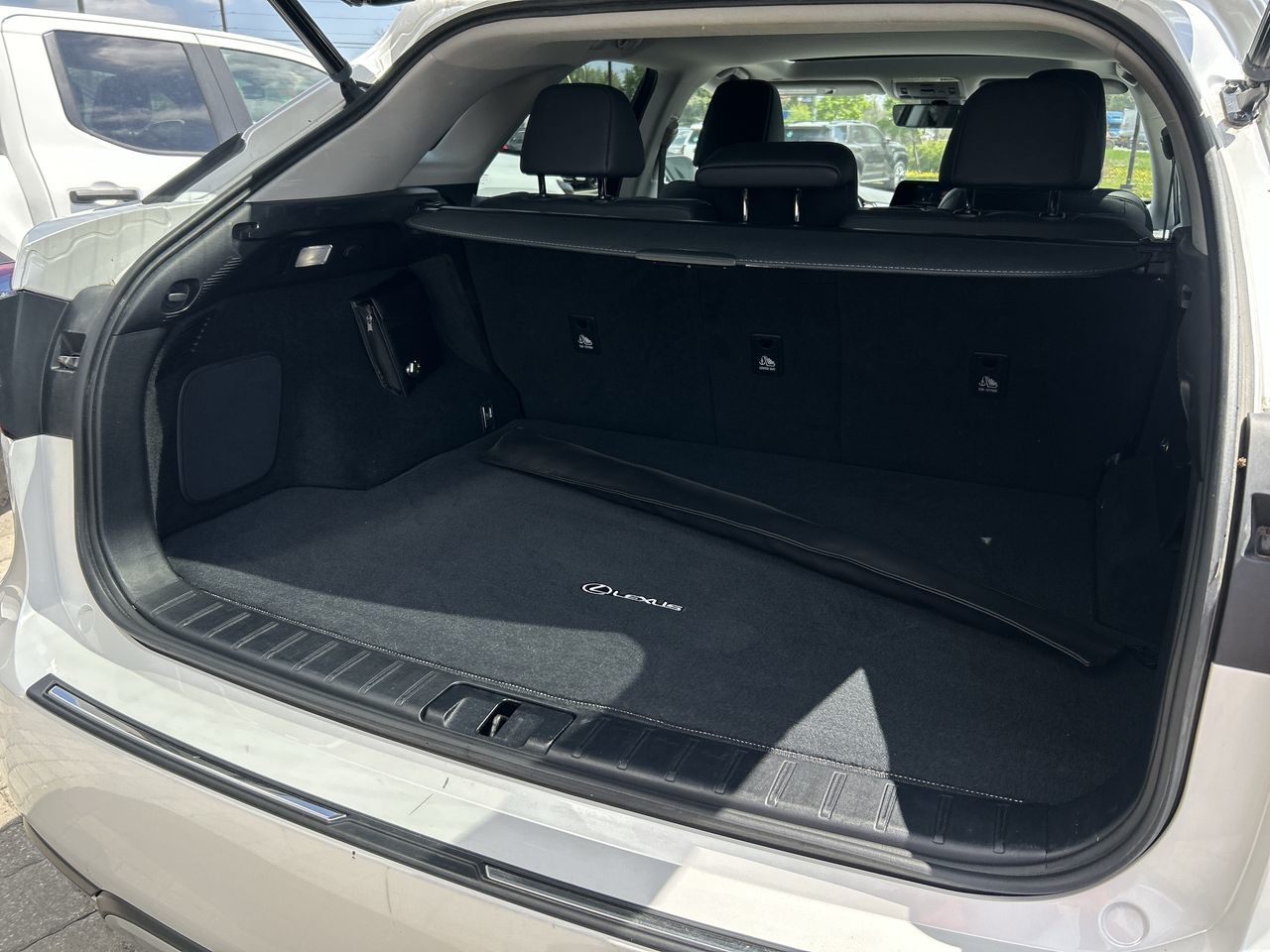 2021 Lexus RX in Bolton, Ontario