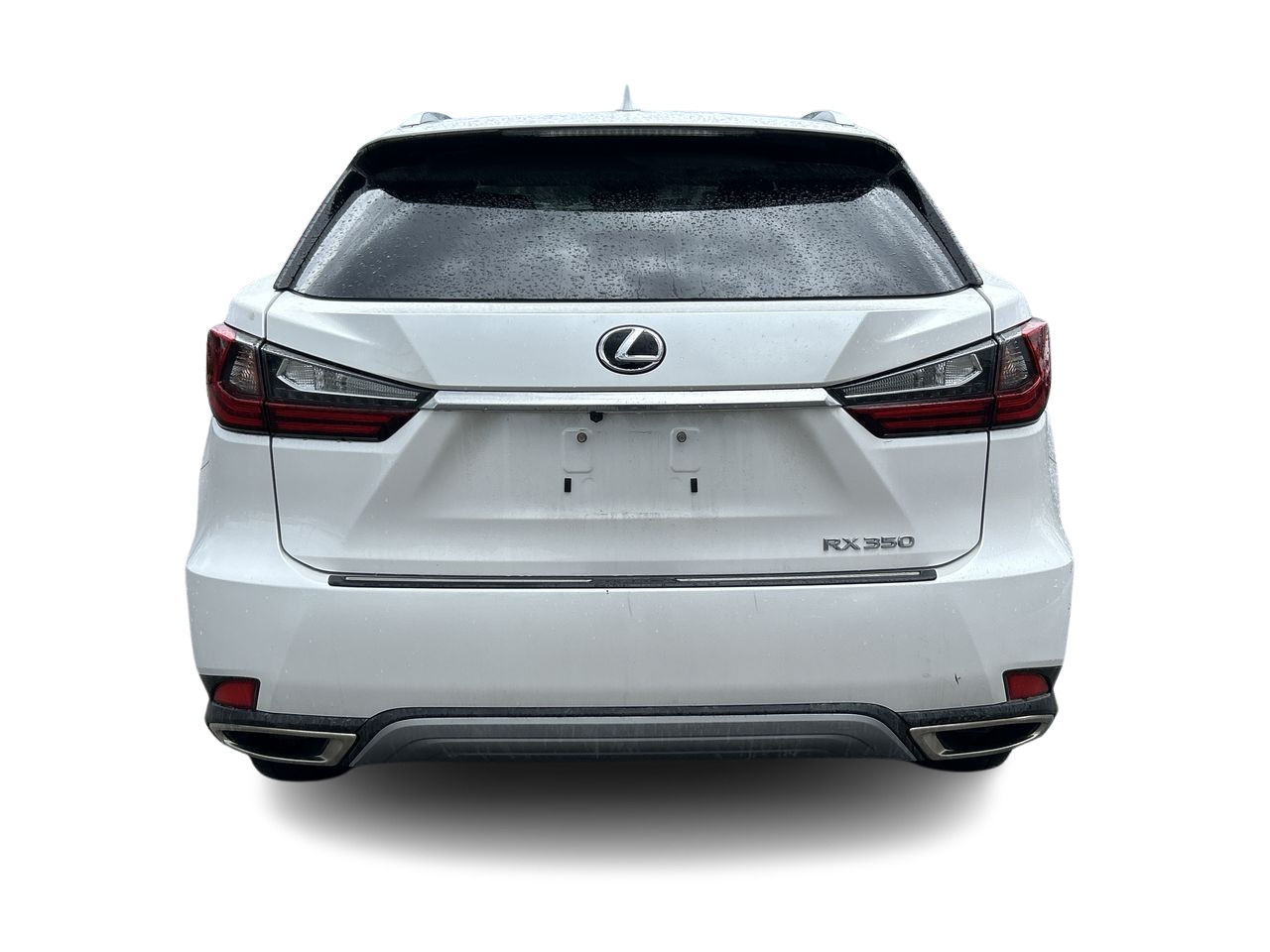 2021 Lexus RX in Bolton, Ontario