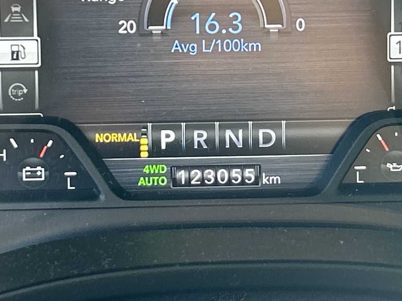 2019 Ram RAM 1500 Crew Cab 4x4 (dt)