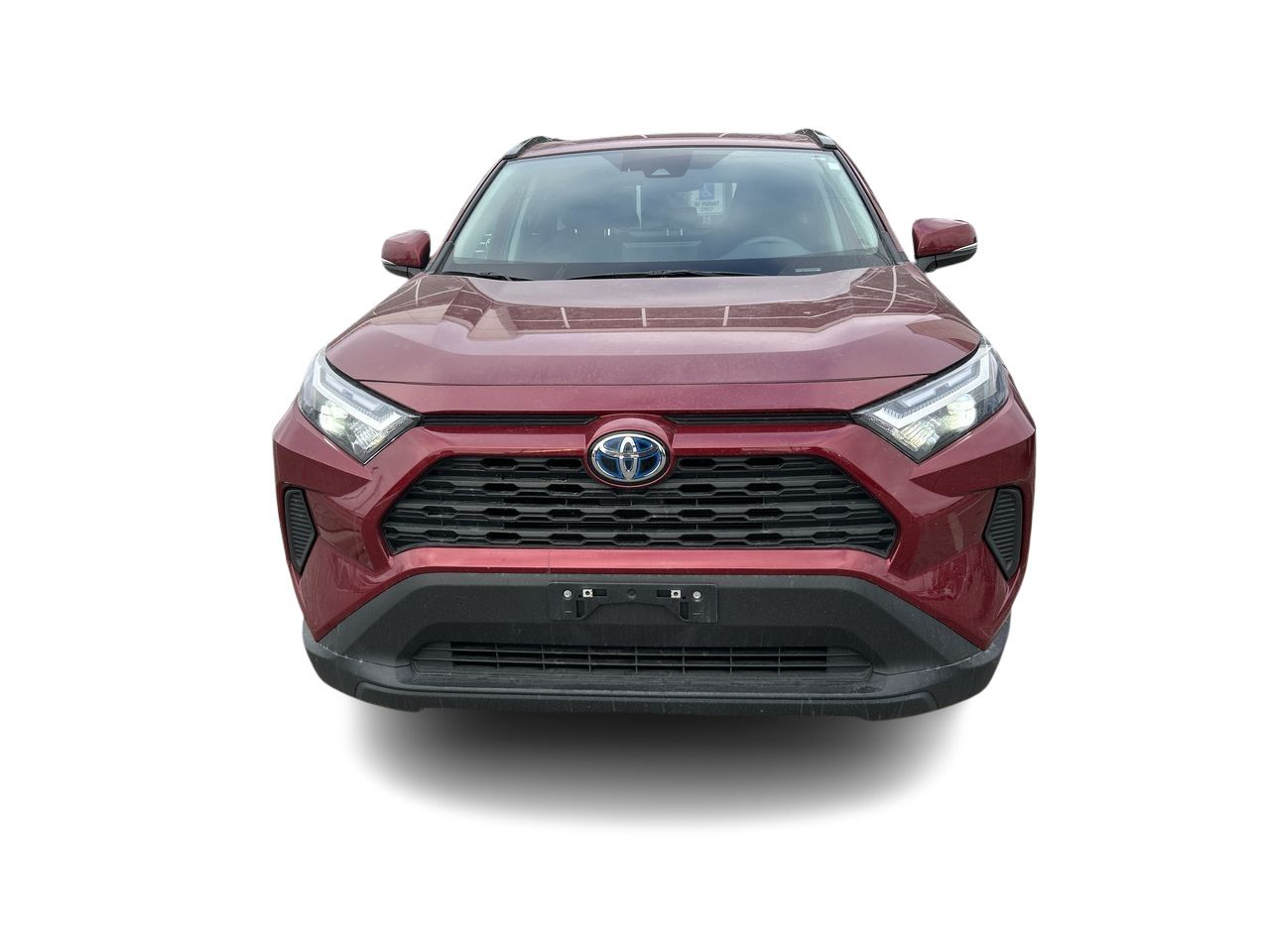 2024 Toyota RAV4 Hybrid in Bolton, Ontario