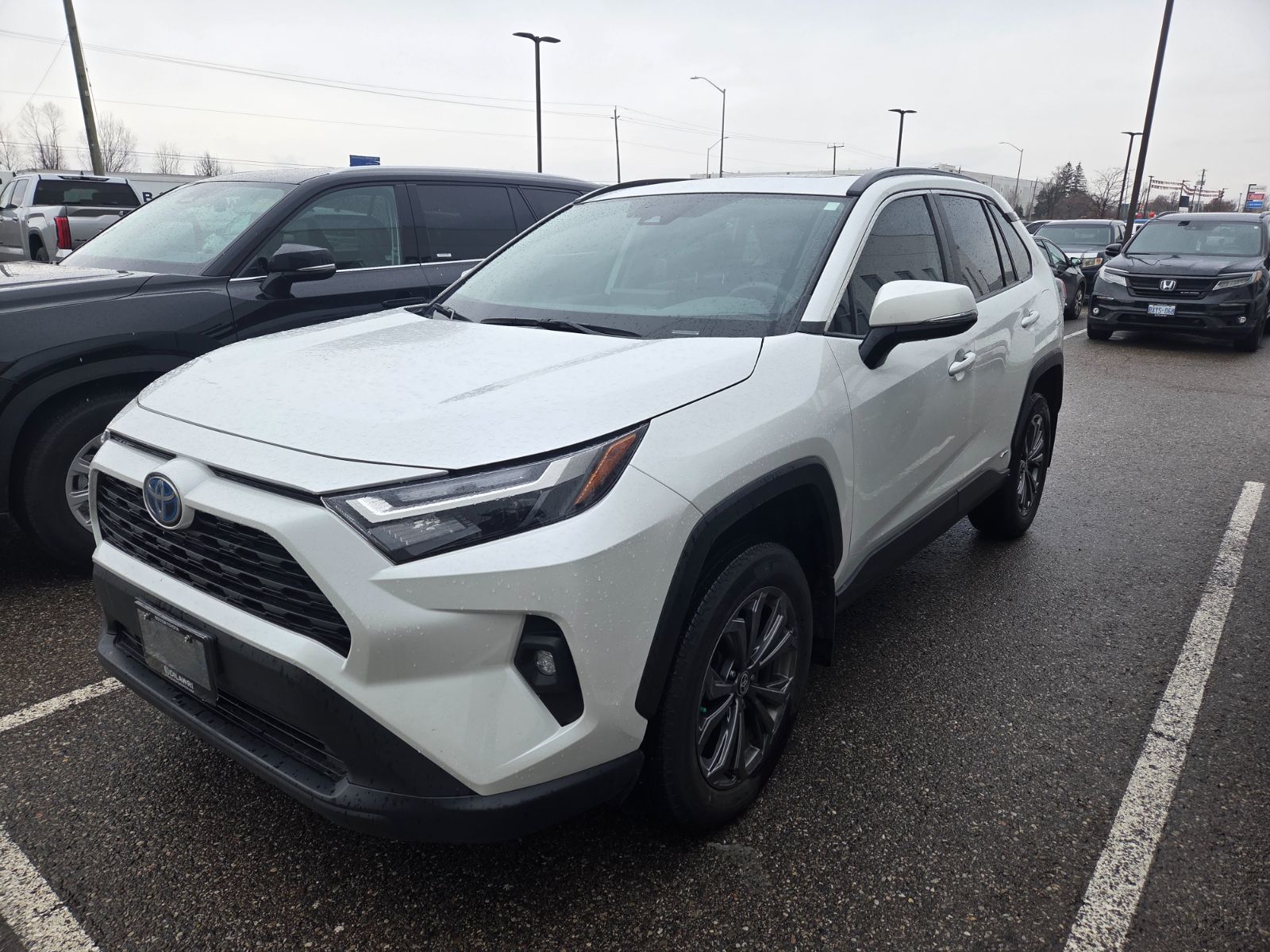 2024 Toyota RAV4 Hybrid in Bolton, Ontario