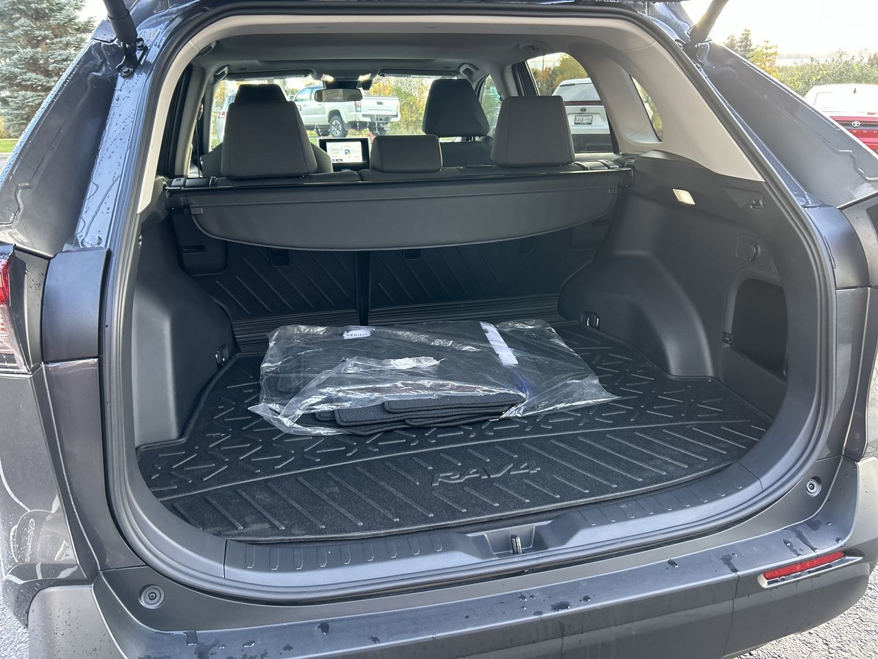 2025 Toyota RAV4 Hybrid