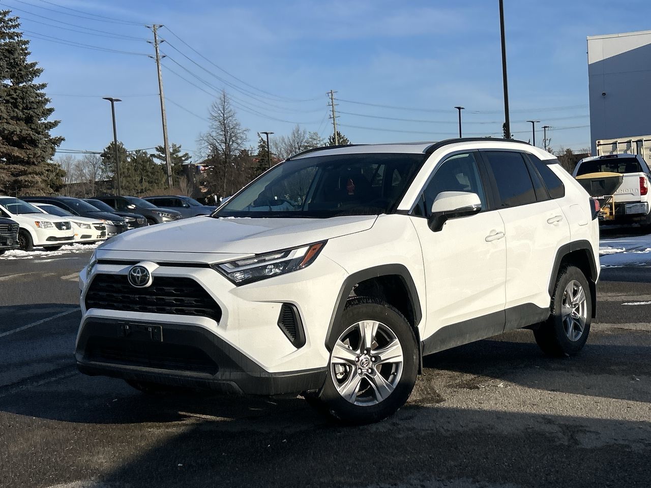2025 Toyota RAV4 in Bolton, Ontario