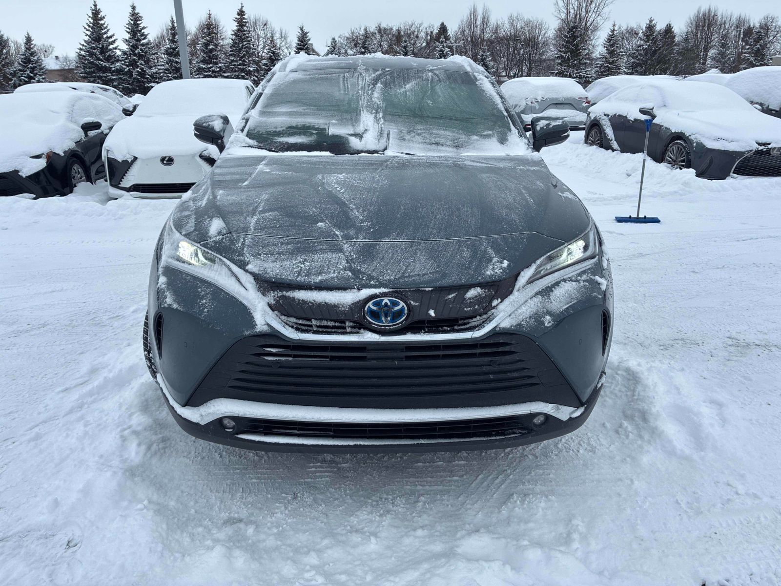 2023 Toyota Venza Hybrid