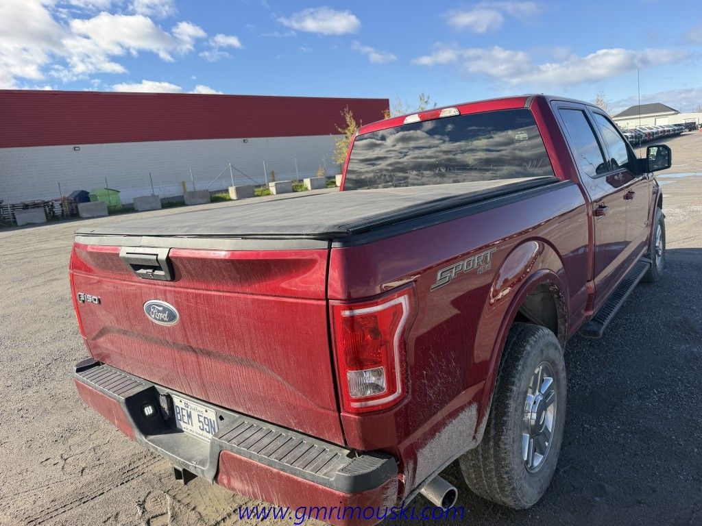 Photo Ford F-150 CAB SUPER CREW 4RM 157 PO XLT 2015 #8