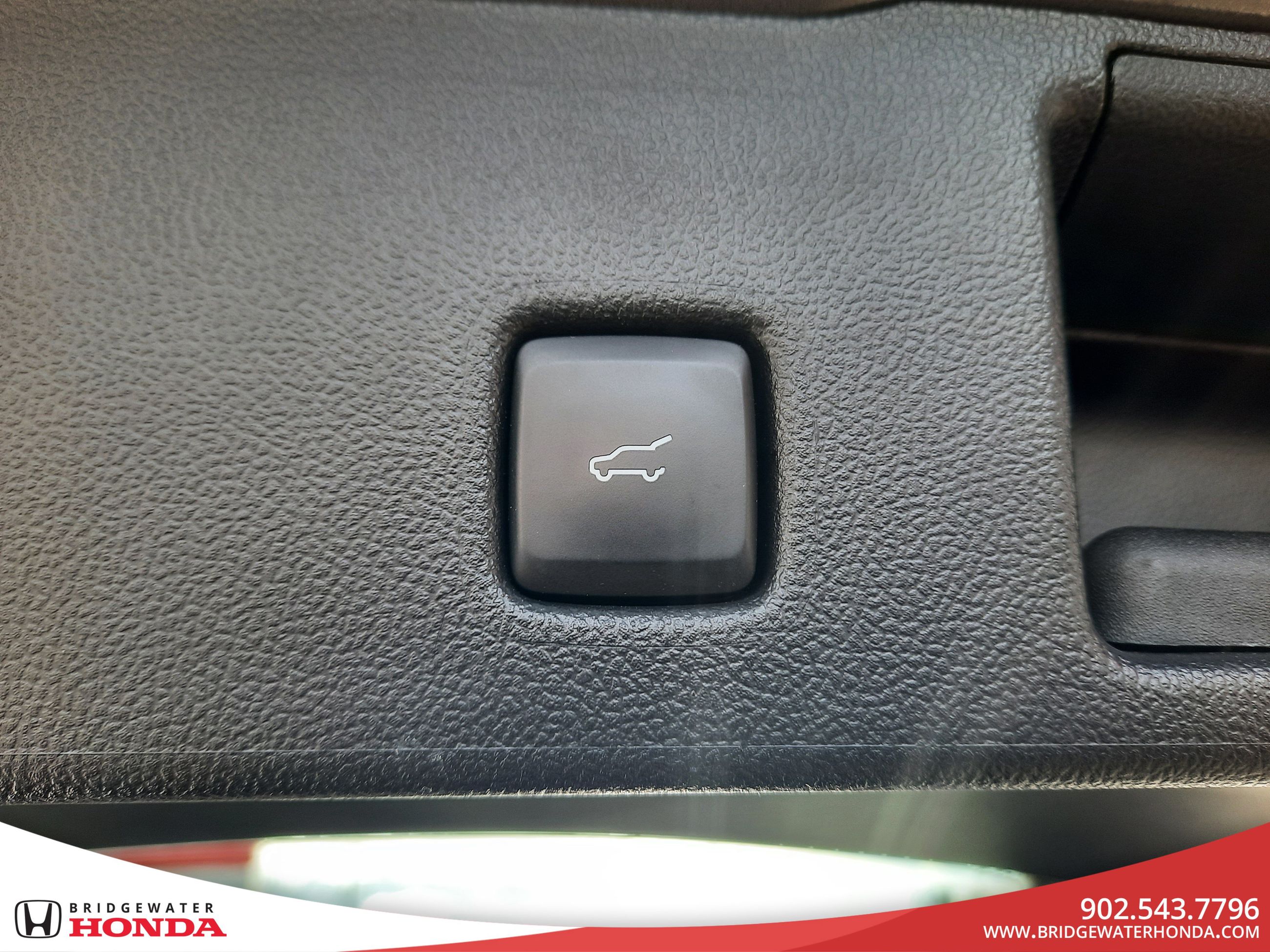 Ford Escape Titanium Hybrid 2021-8