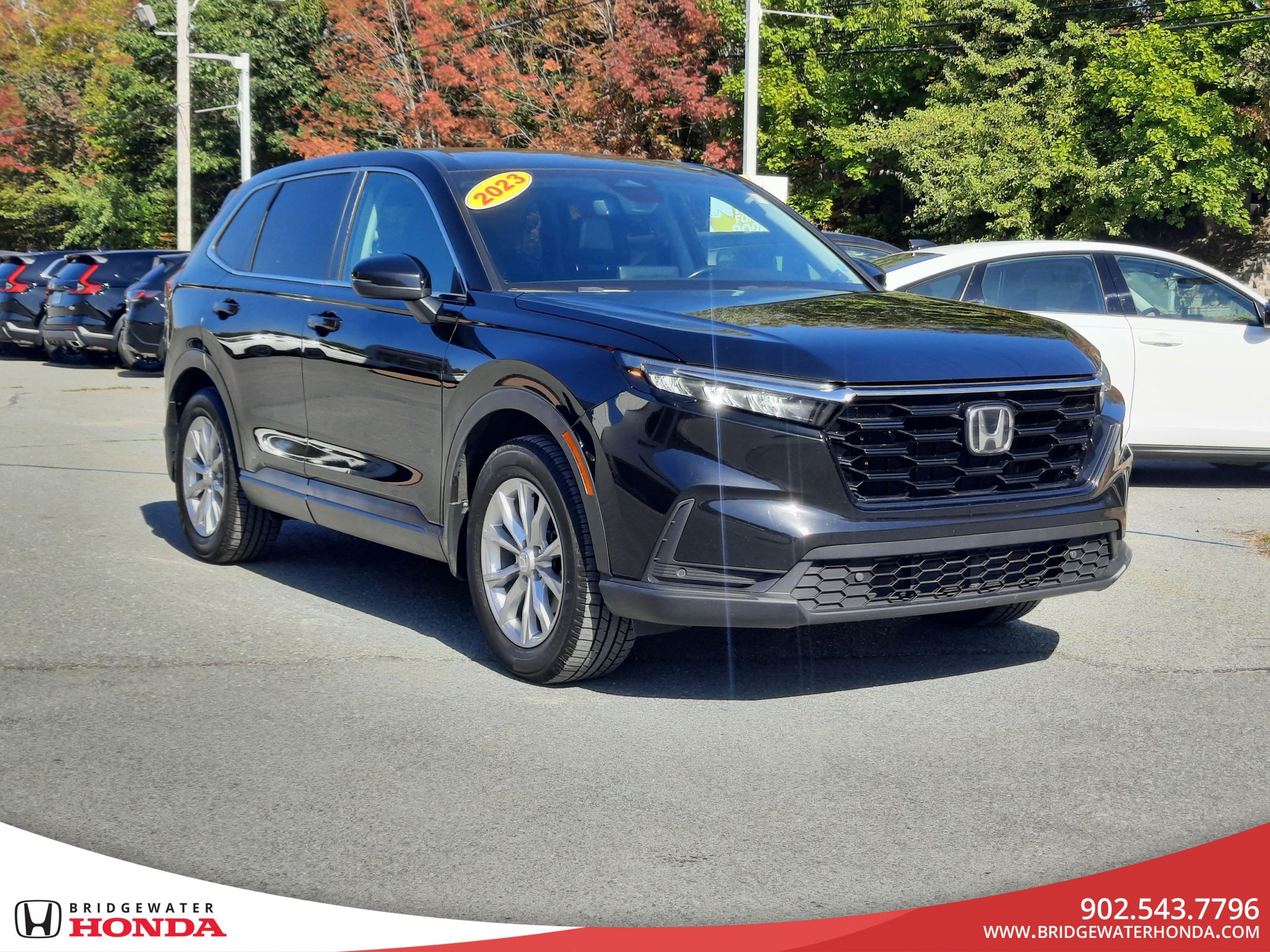 2023 Honda CR-V EX-L-3