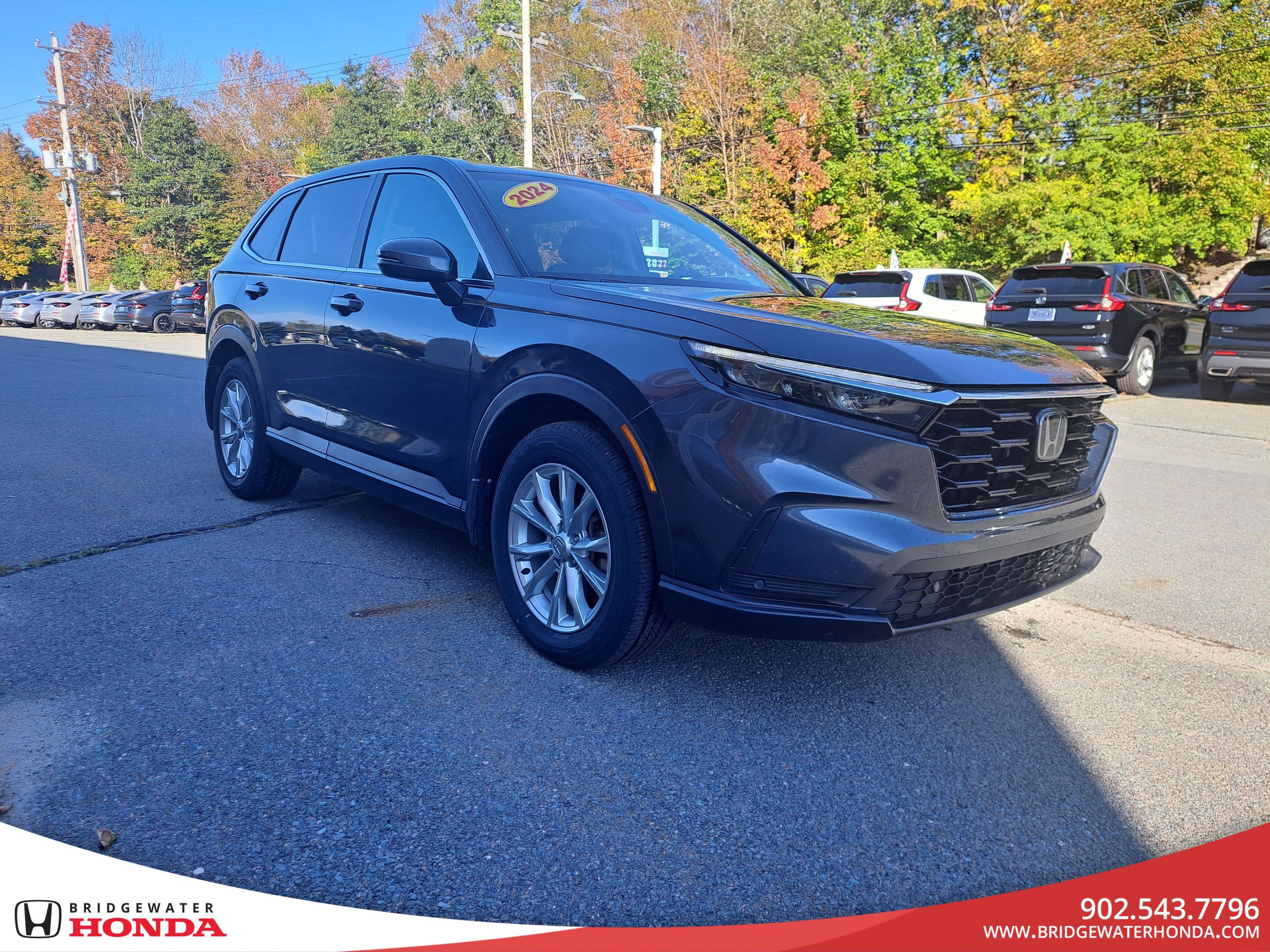 2024 Honda CR-V EX-L-2