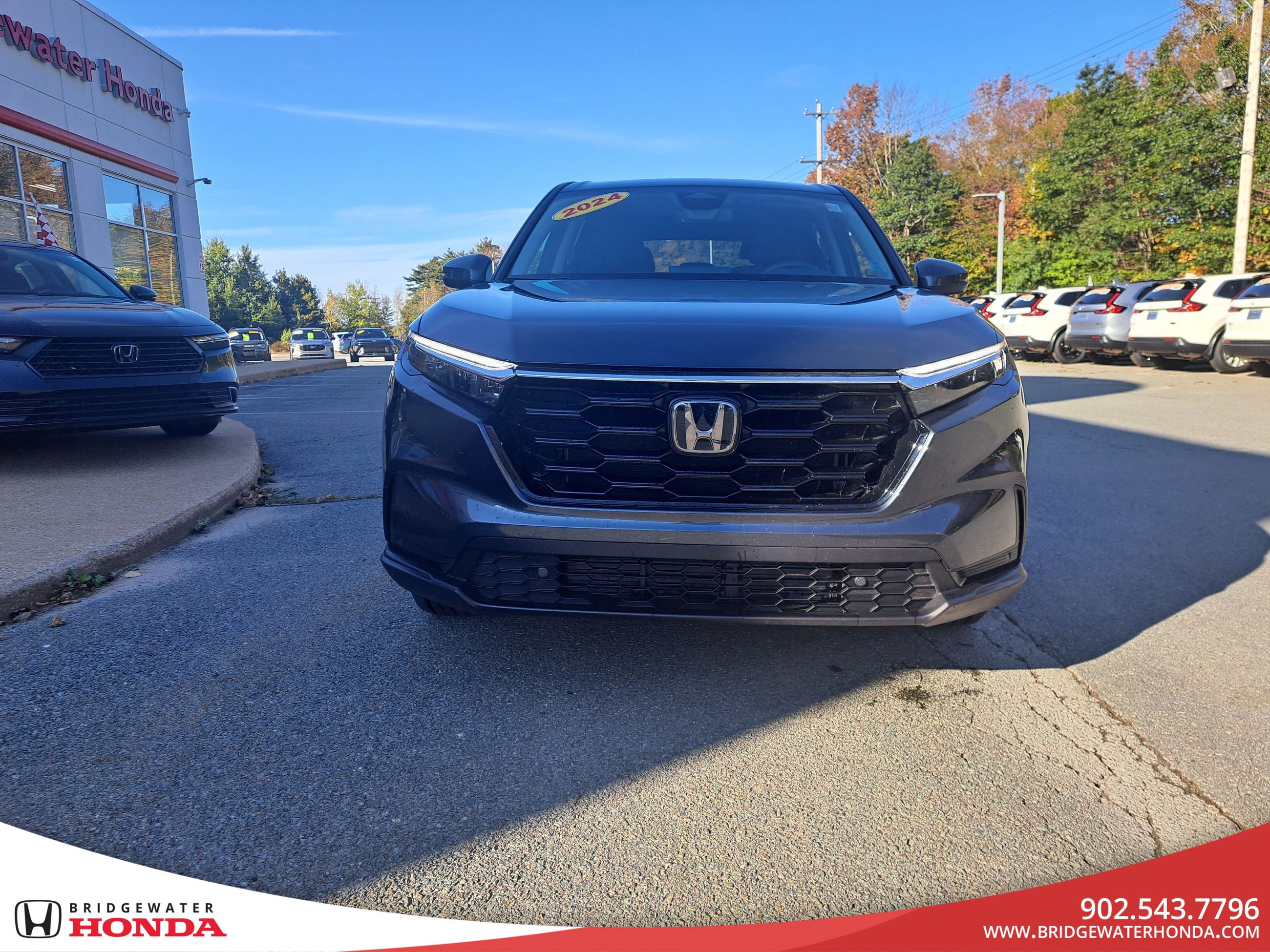 2024 Honda CR-V EX-L-1