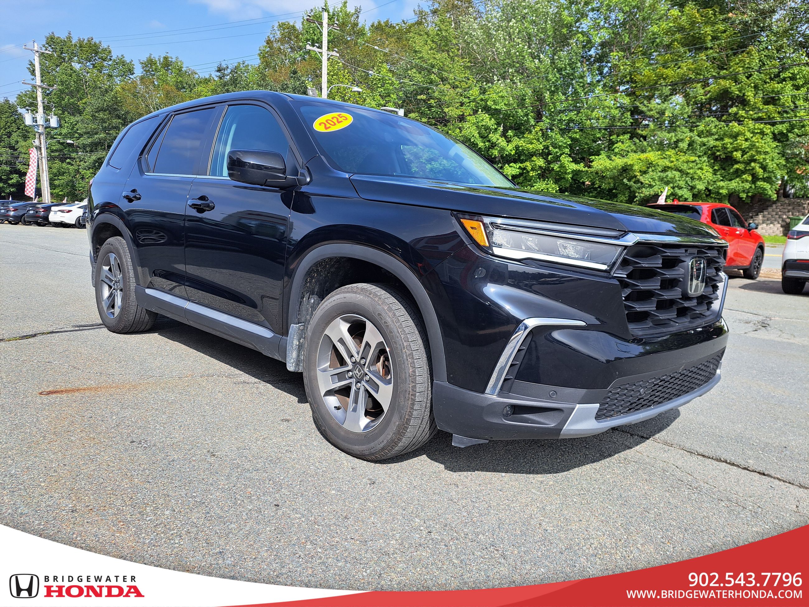 2025 Honda Pilot EX-L-2
