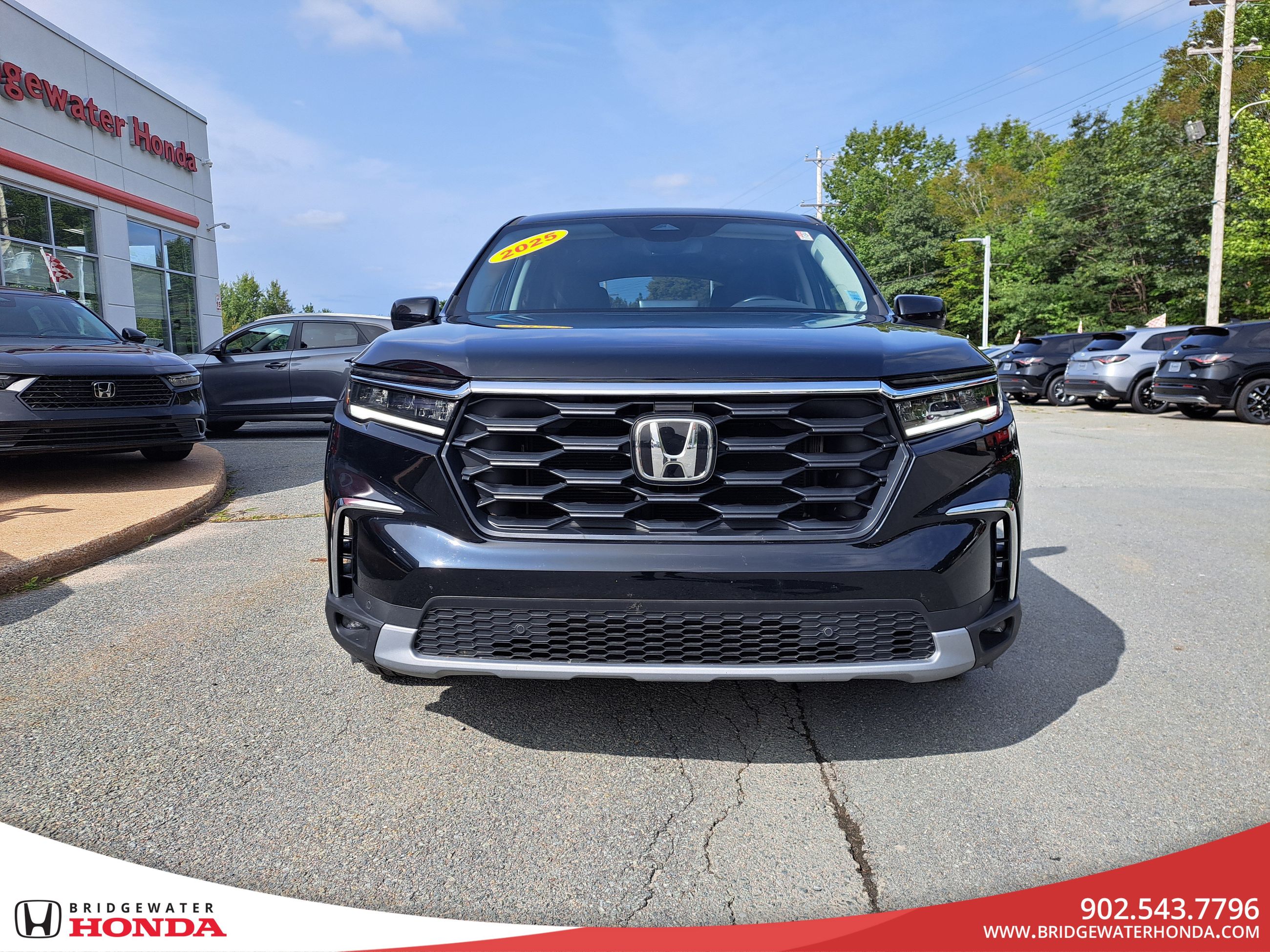 2025 Honda Pilot EX-L-1