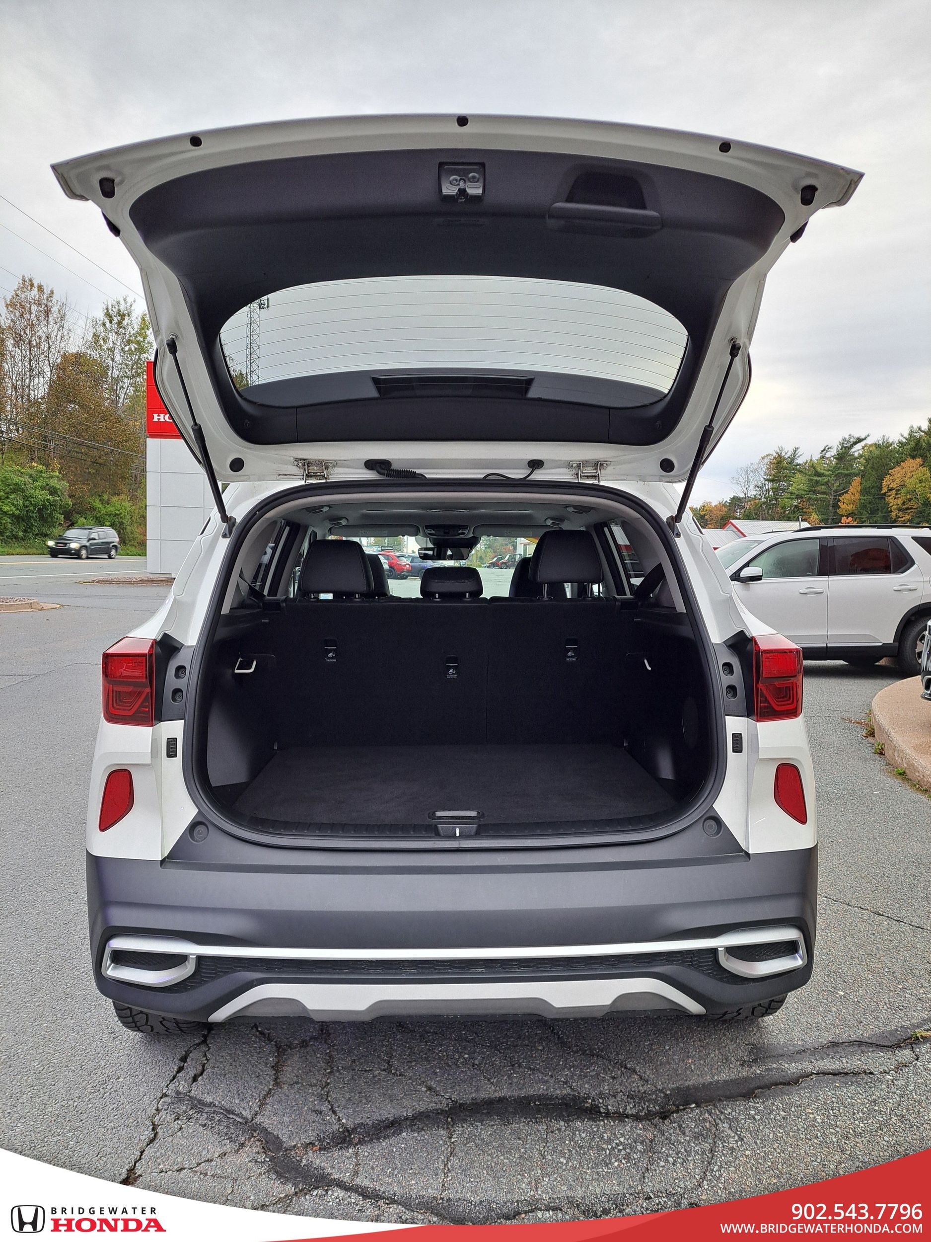 Kia Seltos SX Turbo 2021-9