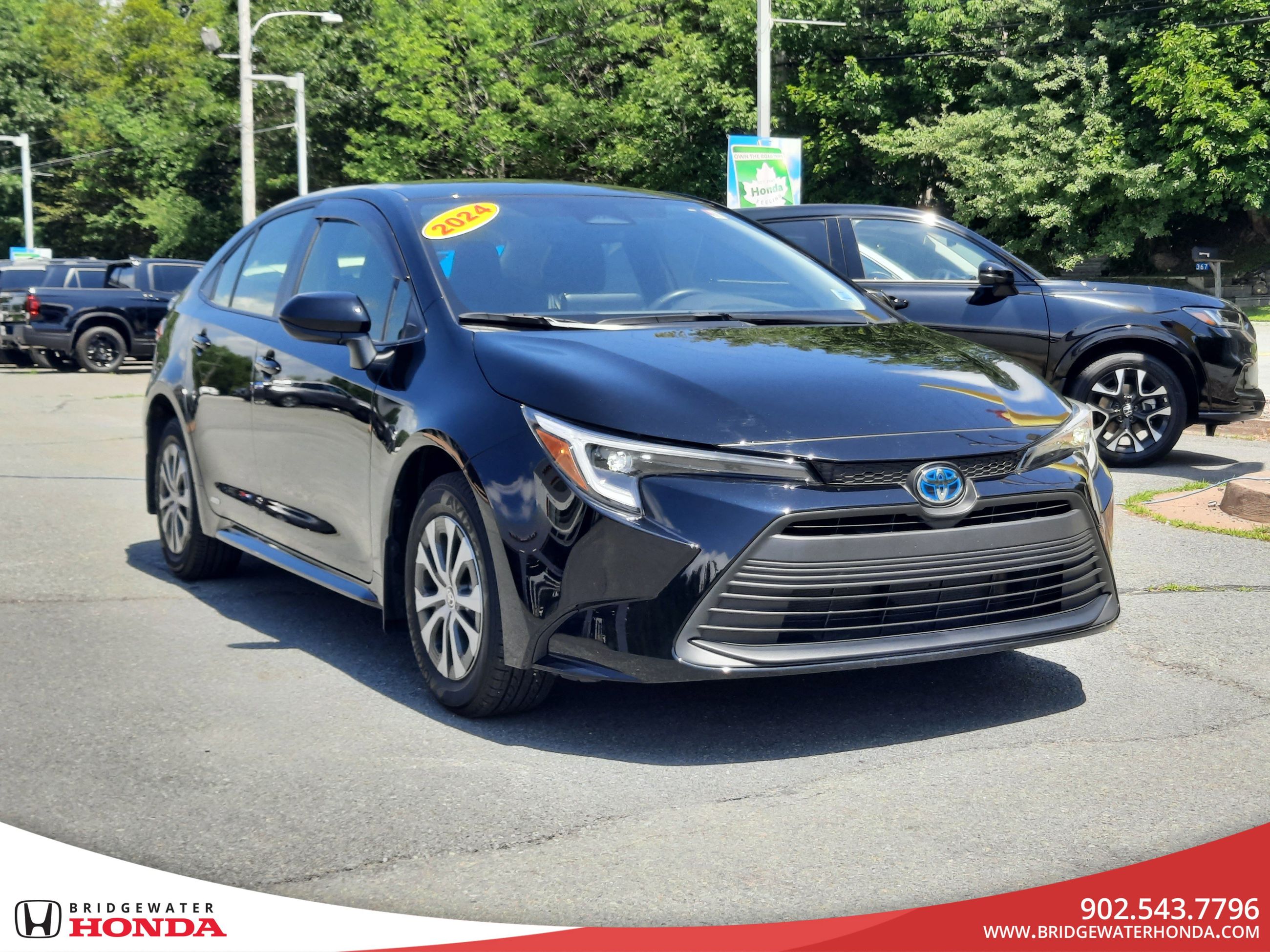 Toyota Corolla Hybrid LE 2024-3