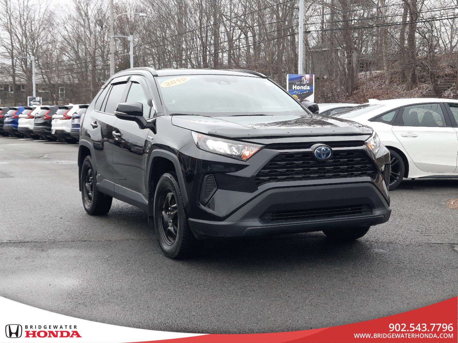 2019 Toyota RAV4 Hybrid LE-3