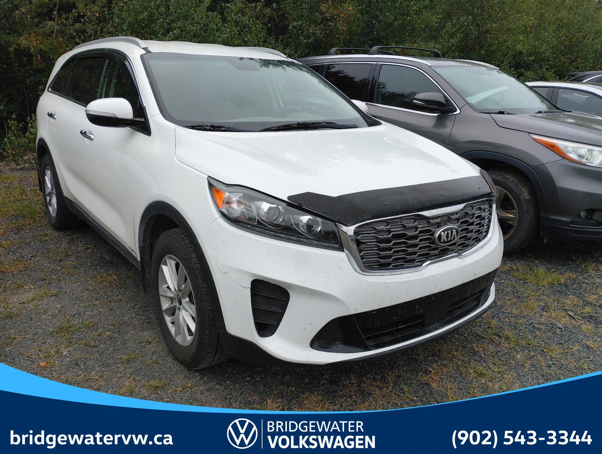2020 Kia Sorento LX+ V6