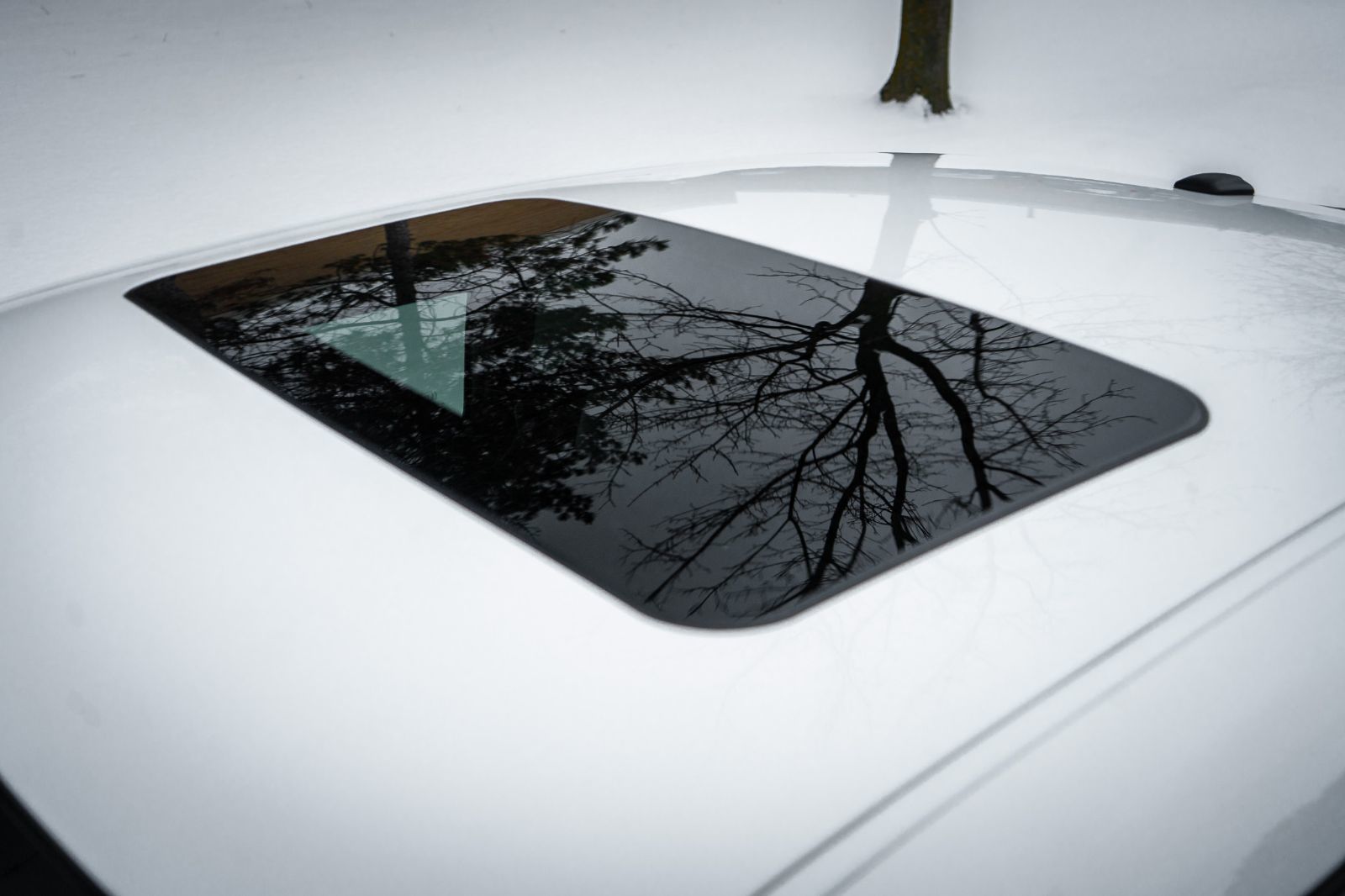 2016 Dodge Challenger Scat Pack Shaker-8