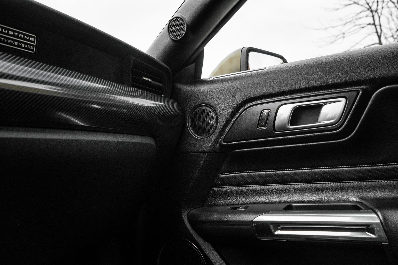 2020 Ford Mustang GT PREMIUM-16