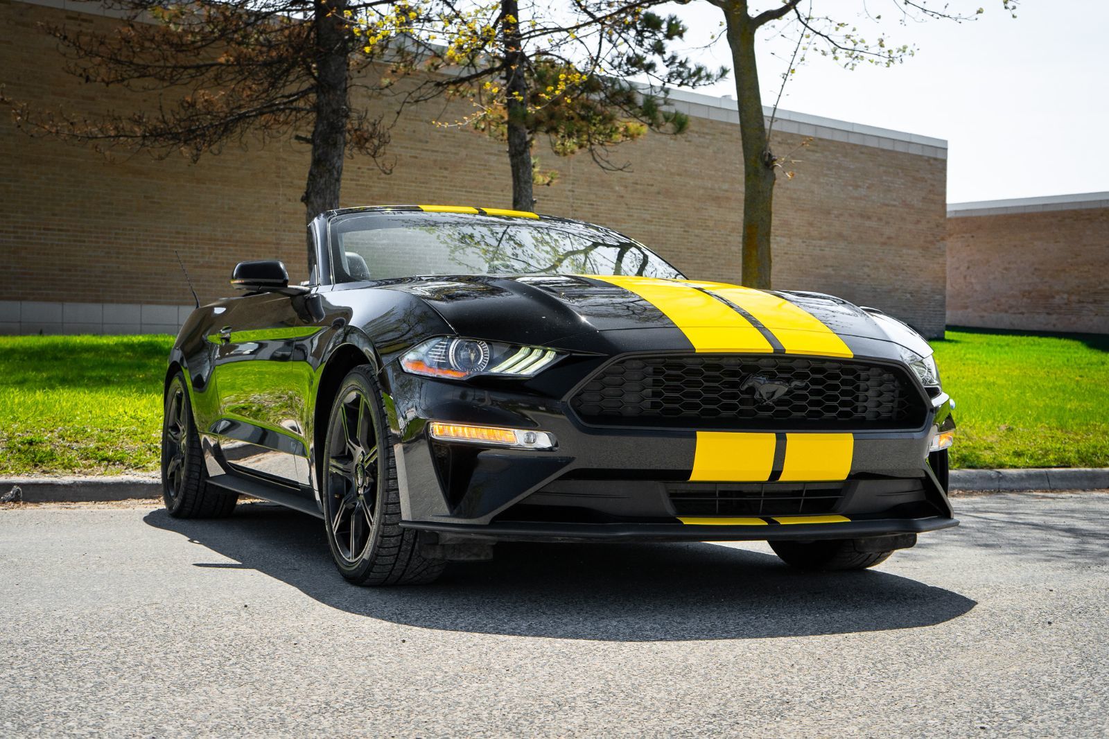 2020 Ford Mustang Ecoboost premium convertible-2