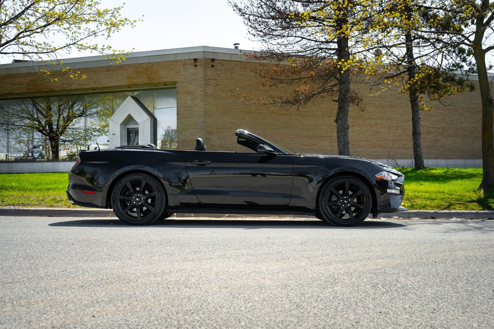 2020 Ford Mustang Ecoboost premium convertible-3