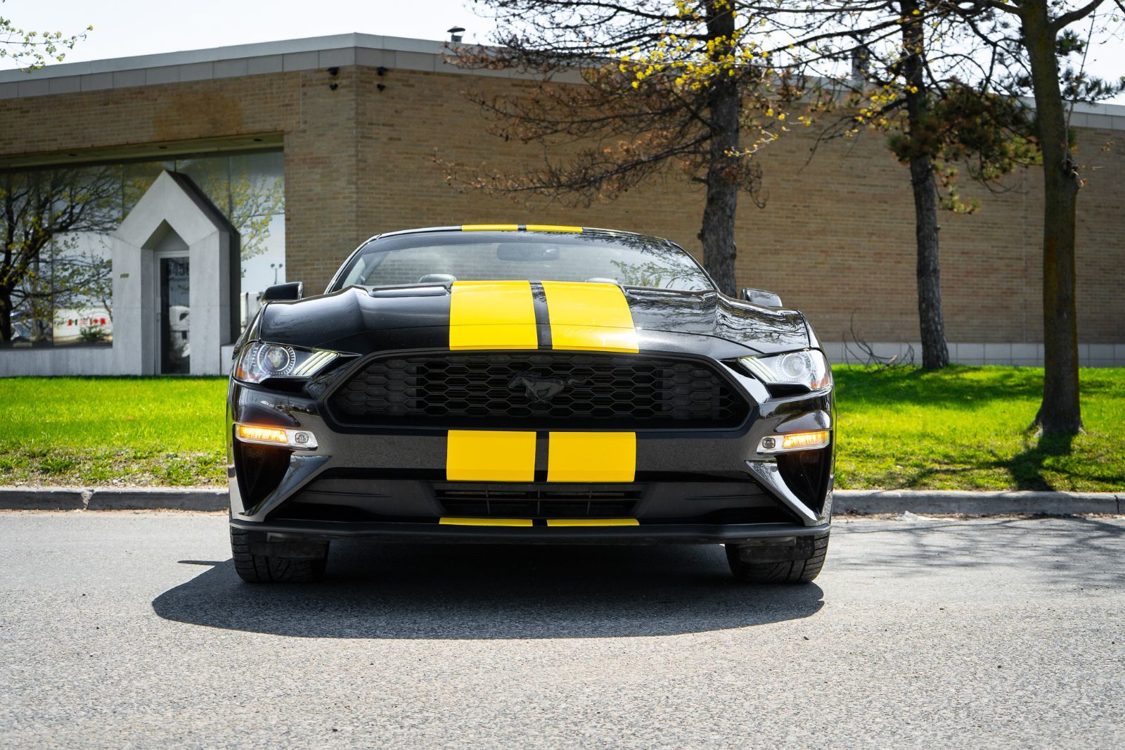 2020 Ford Mustang Ecoboost premium convertible-1