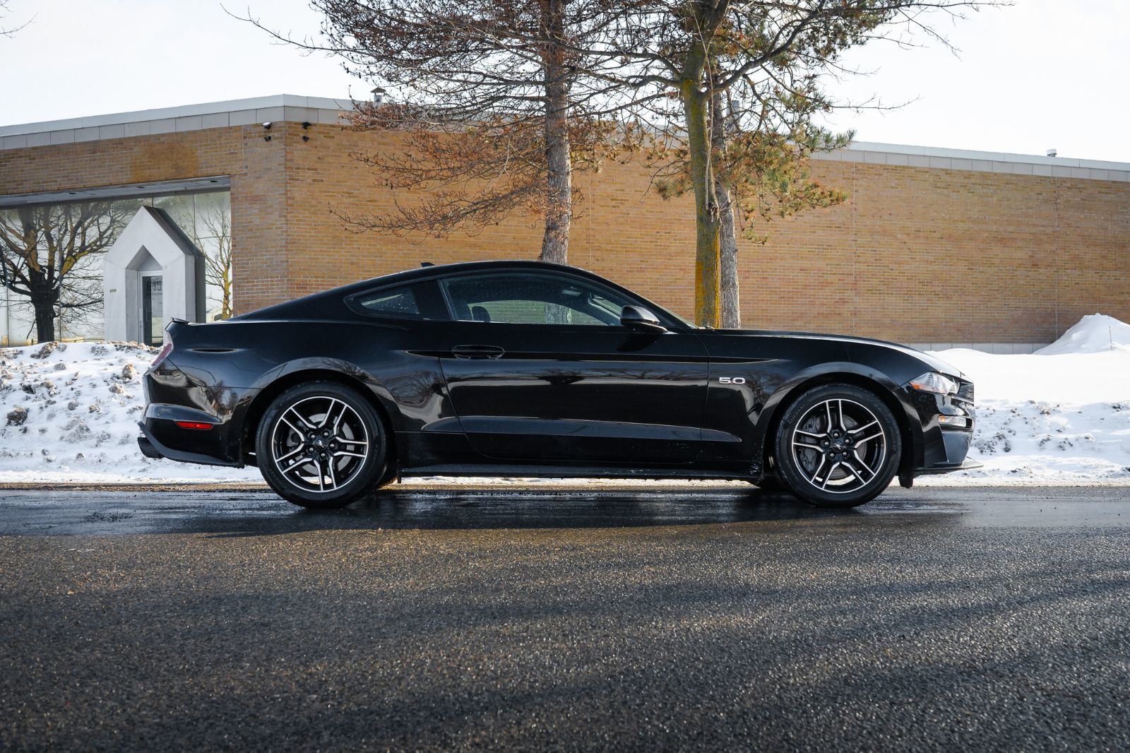 2022 Ford Mustang GT-3