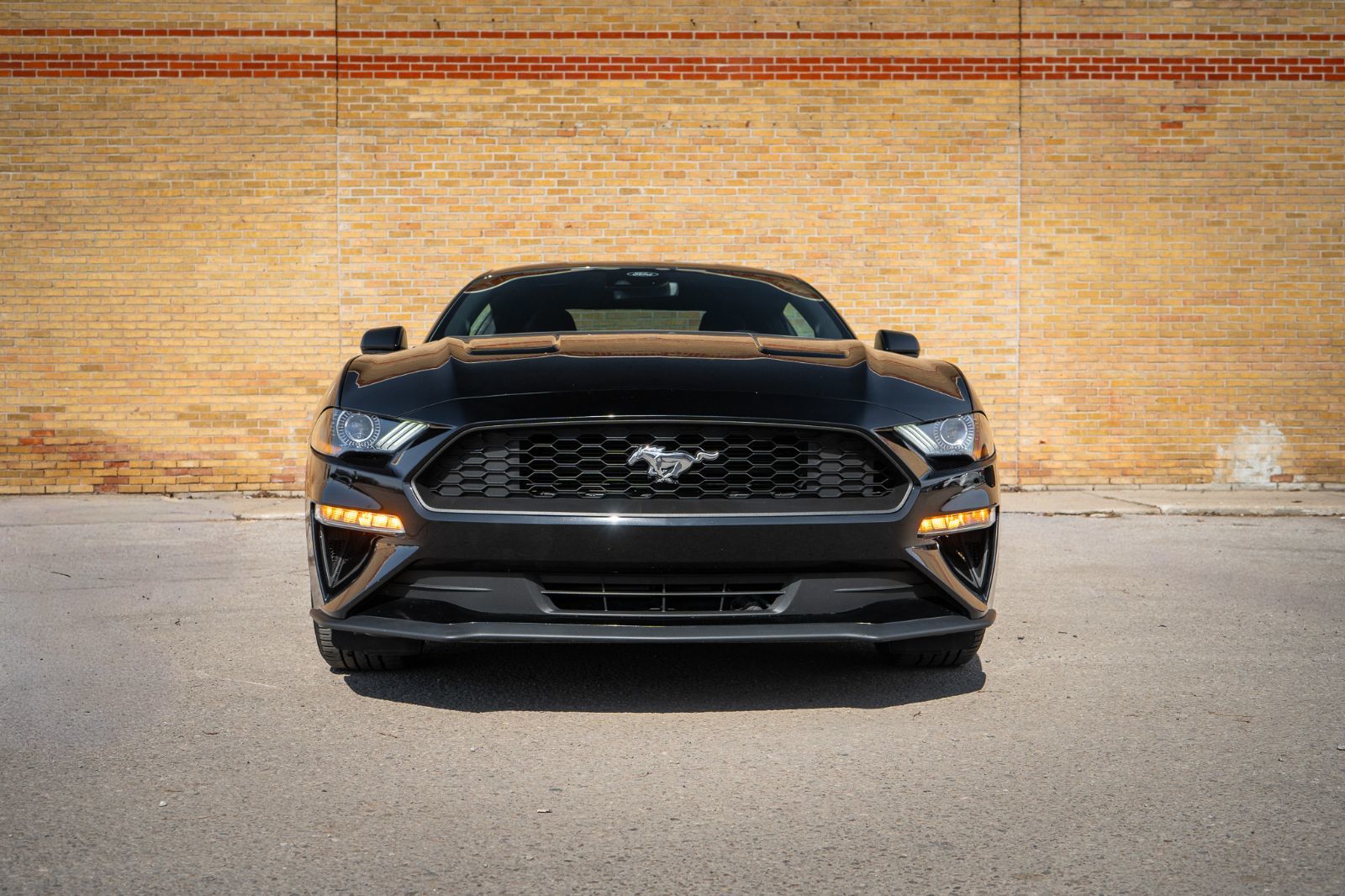 2023 Ford Mustang Ecoboost-1