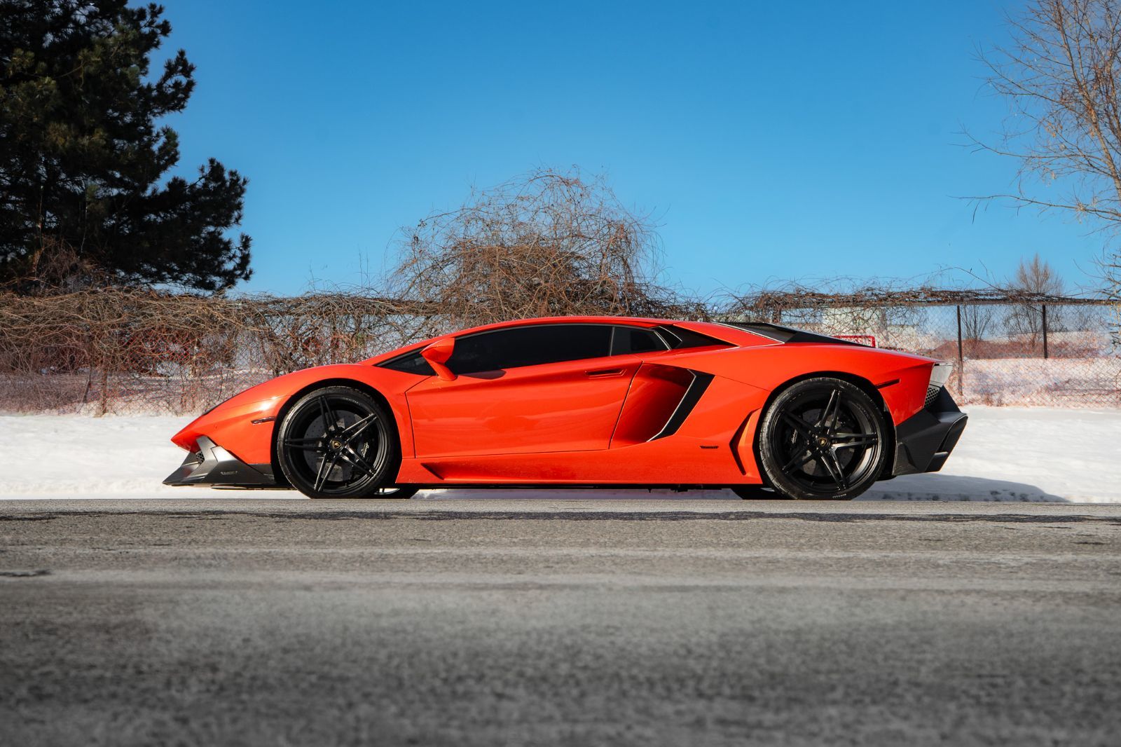 2017 Lamborghini Aventador Mansory-4