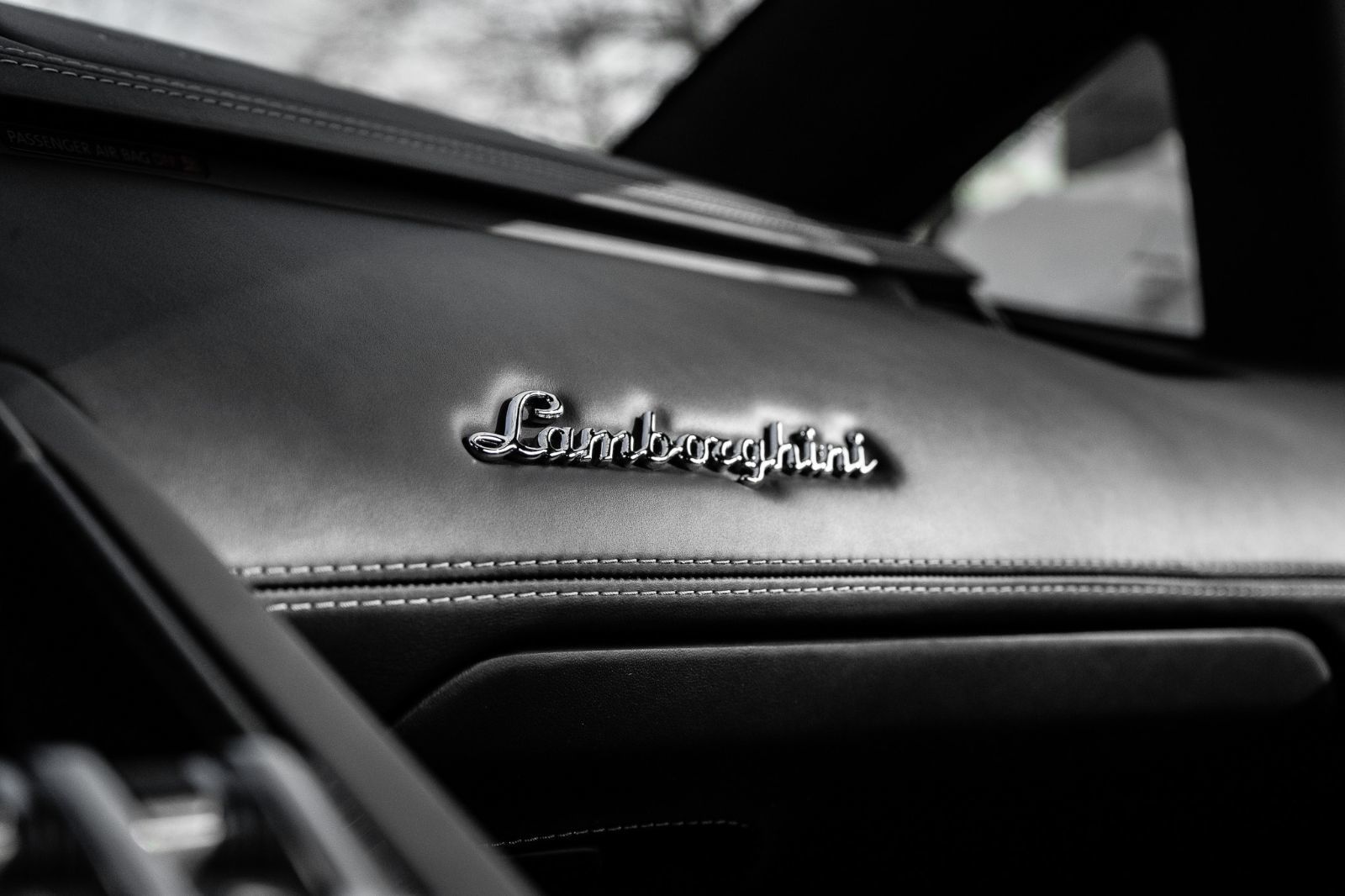 2017 Lamborghini Aventador Mansory-16