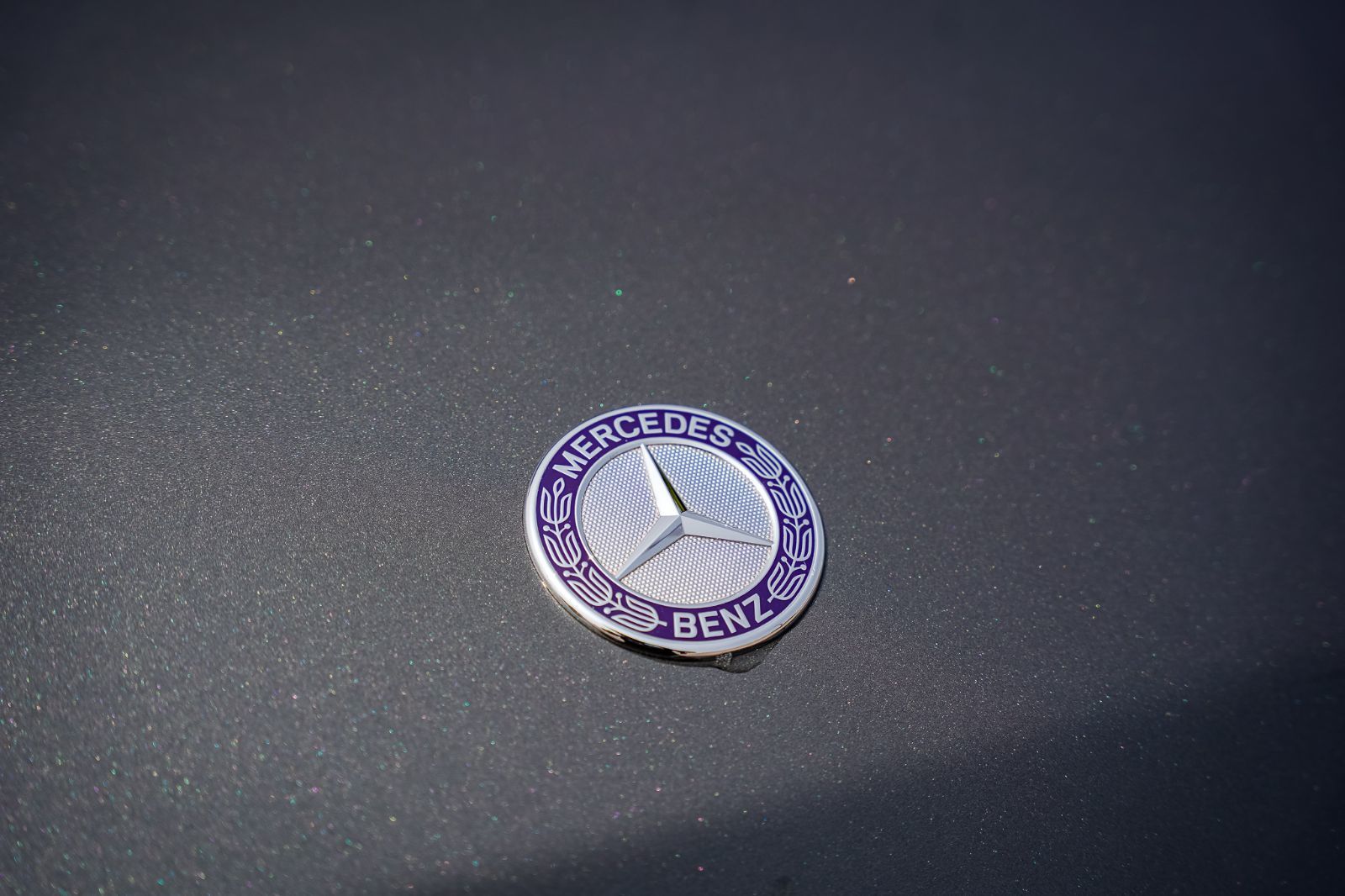 2016 Mercedes-Benz G-Class G 65 V12-5