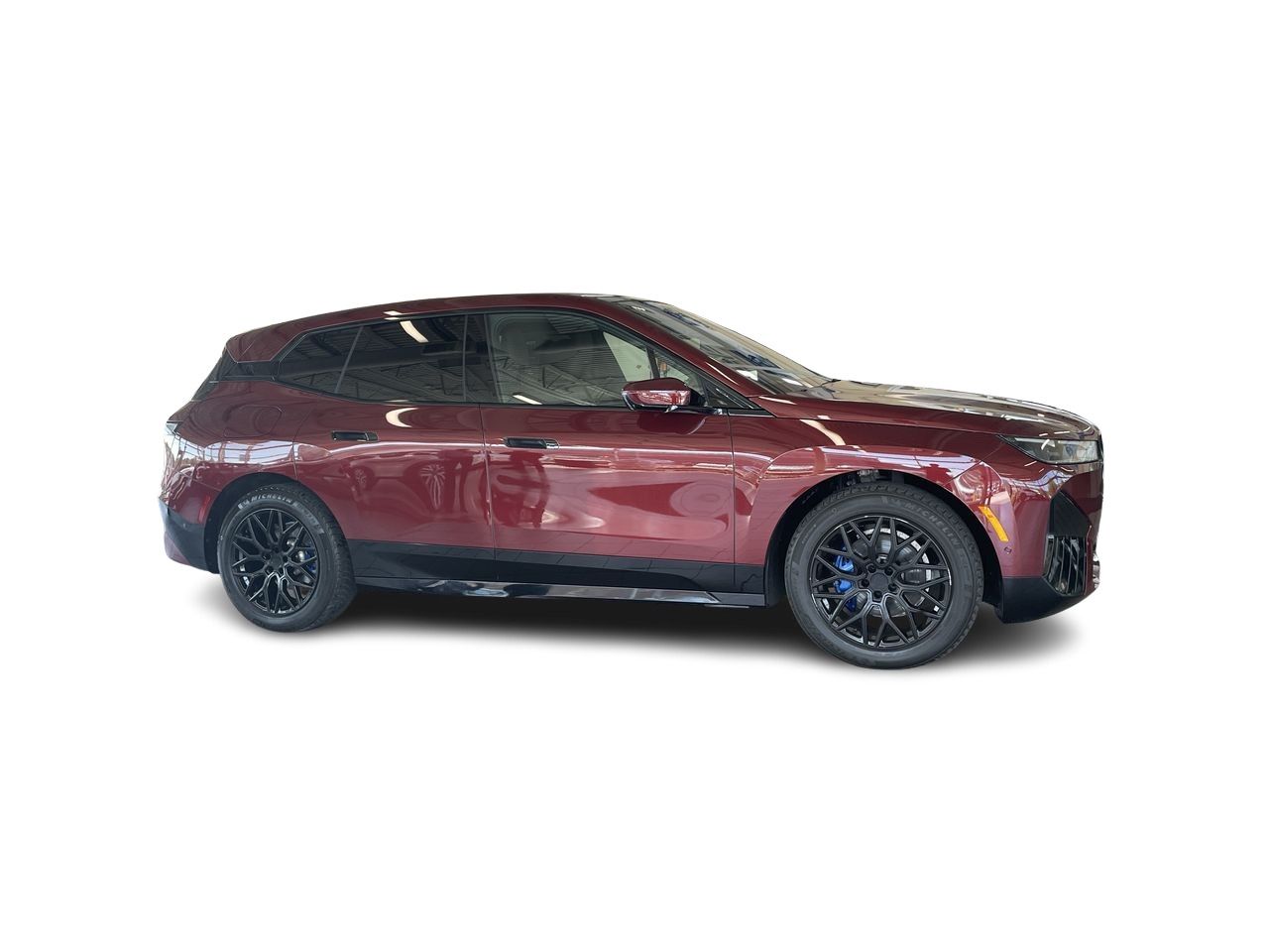 2022  iX