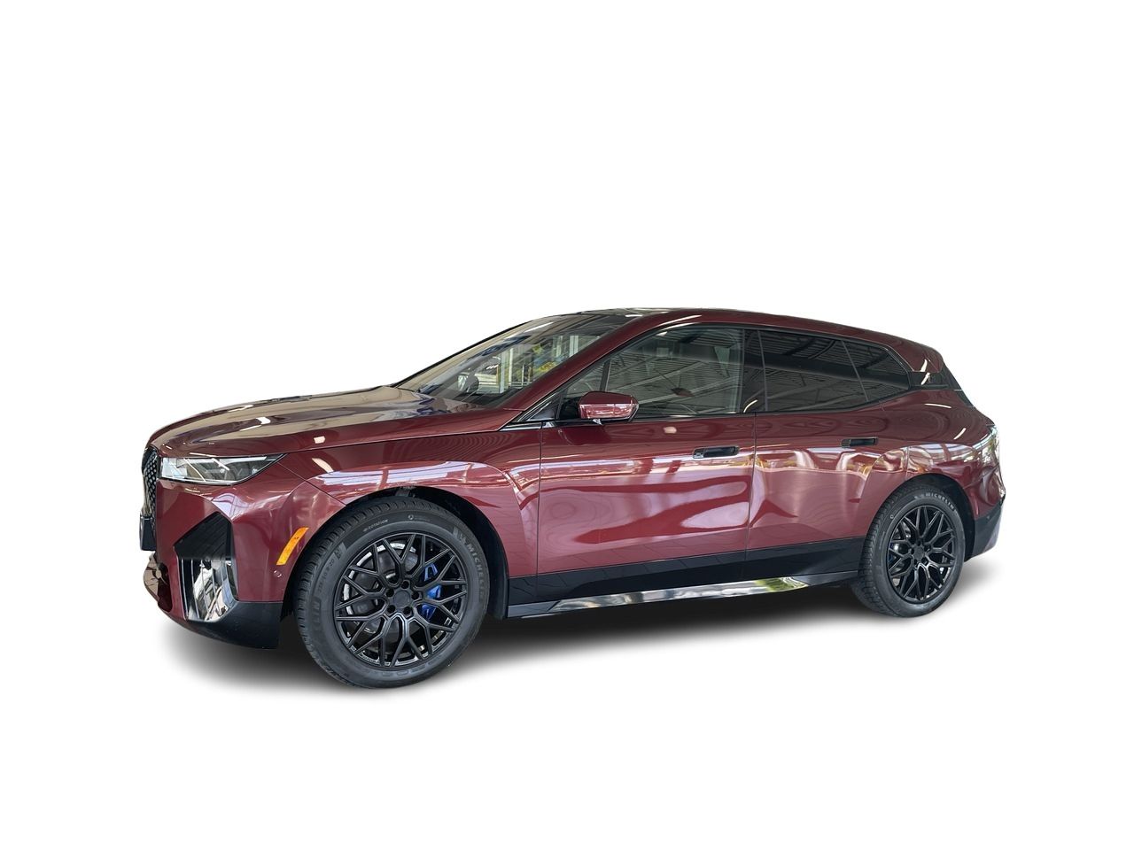 2022  iX