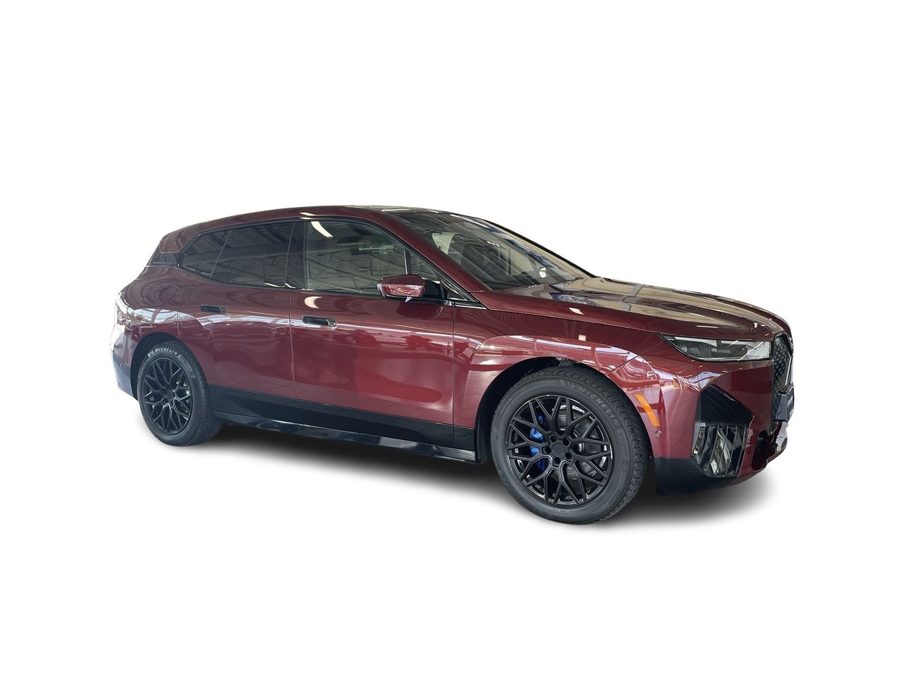 2022  iX
