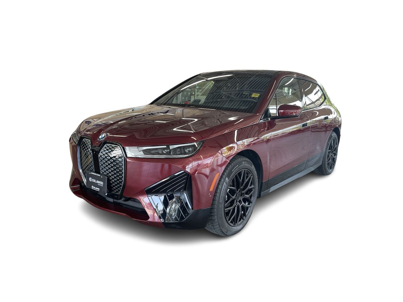 2022  iX