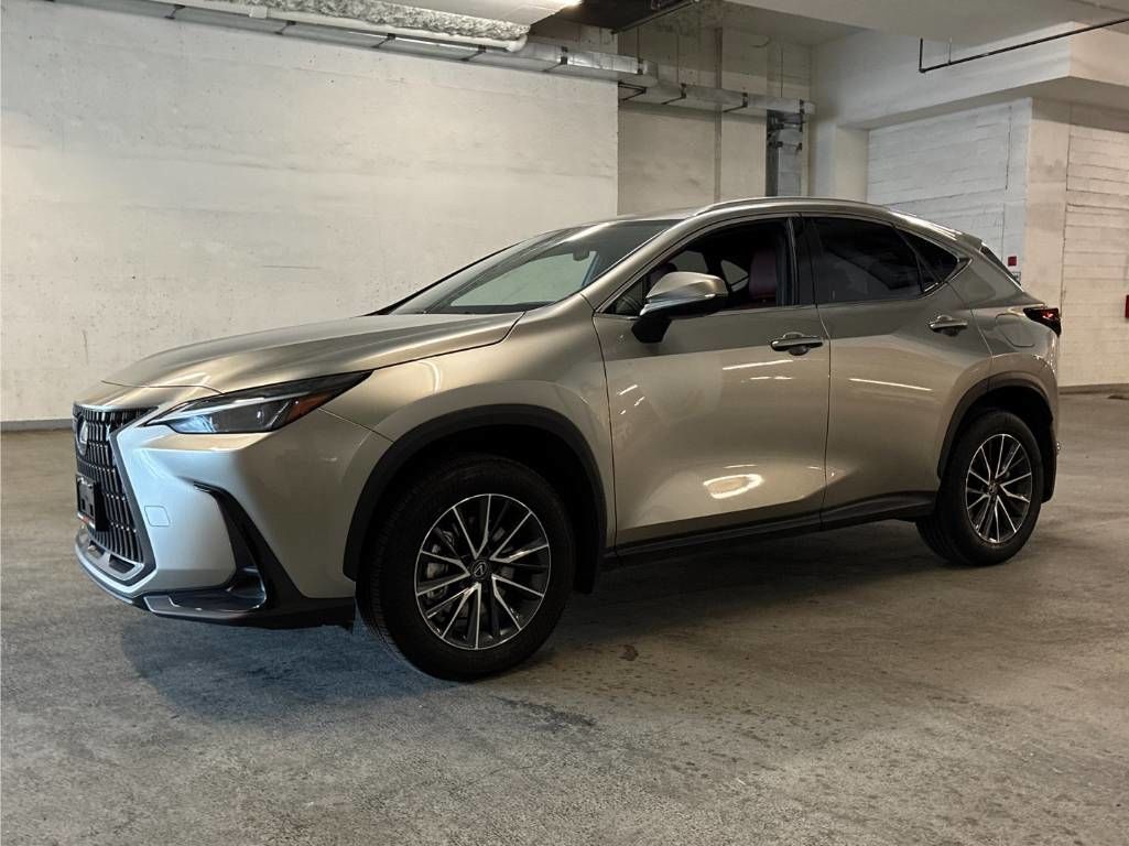 2025 Lexus NX