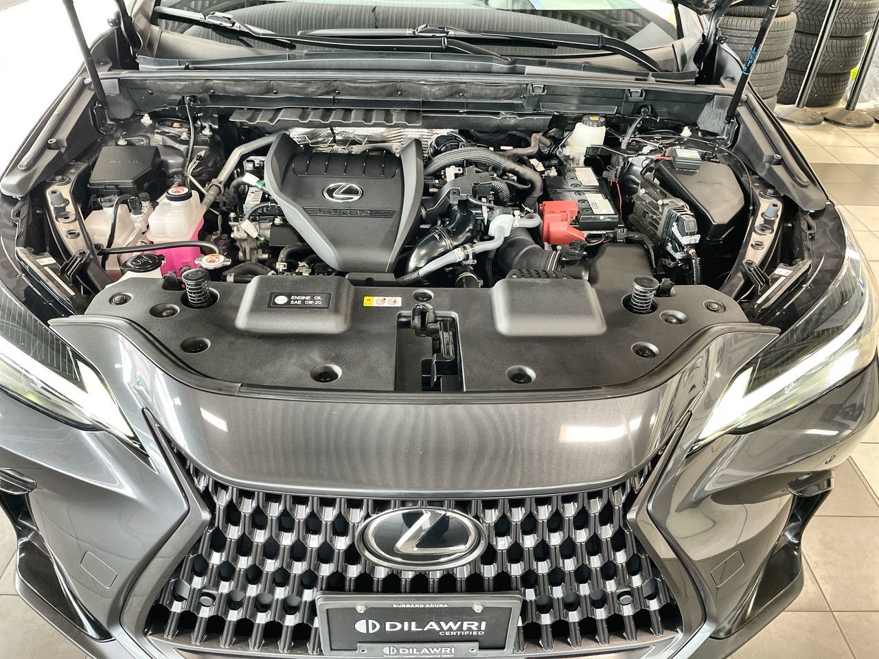 2022  NX