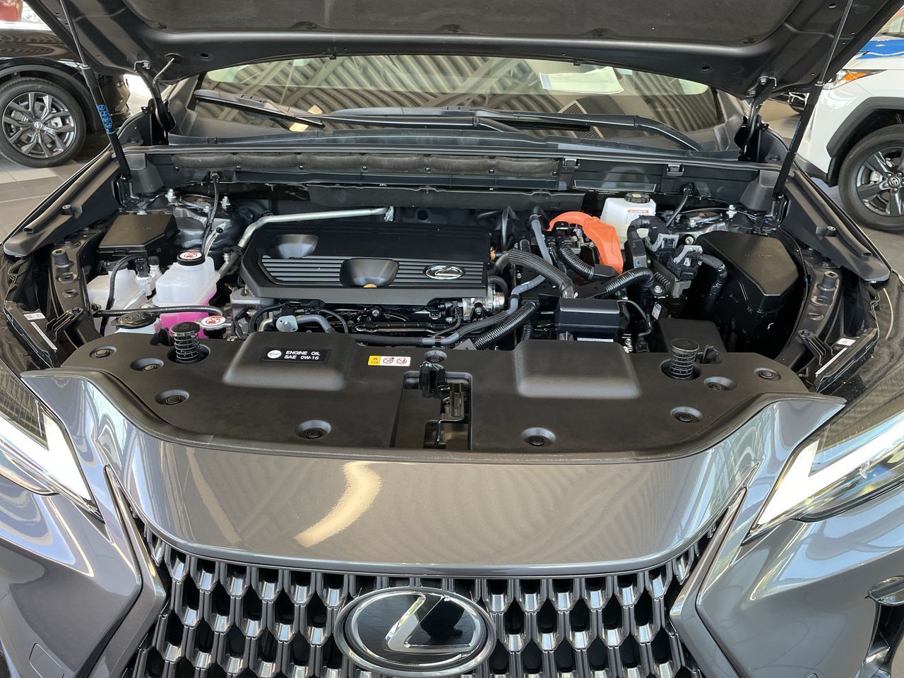 2024 Lexus NX